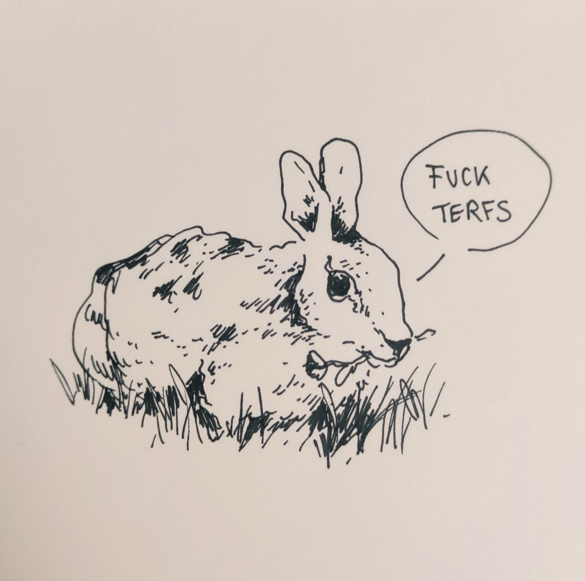 a rabbit says "fuck terfs"