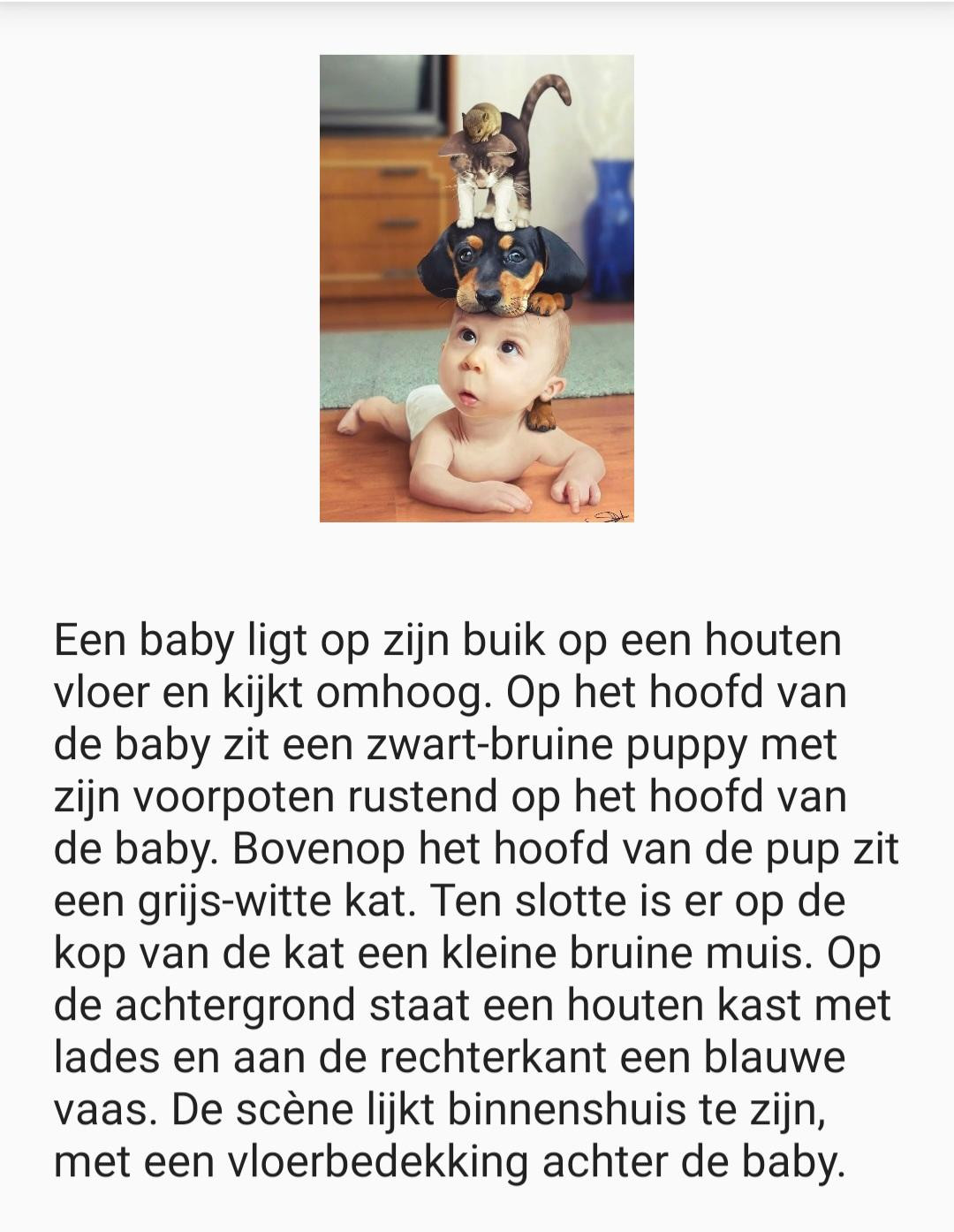 Een baby ligt op zijn buik op een houten vloer en kijkt omhoog. Op het hoofd van de baby zit een zwart-bruine puppy met zijn voorpoten rustend op het hoofd van de baby. Bovenop het hoofd van de pup zit een grijs-witte kat. Ten slotte is er op de kop van de kat een kleine bruine muis. Op de achtergrond staat een houten kast met lades en aan de rechterkant een blauwe vaas. De scène lijkt binnenshuis te zijn, met een vloerbedekking achter de baby.