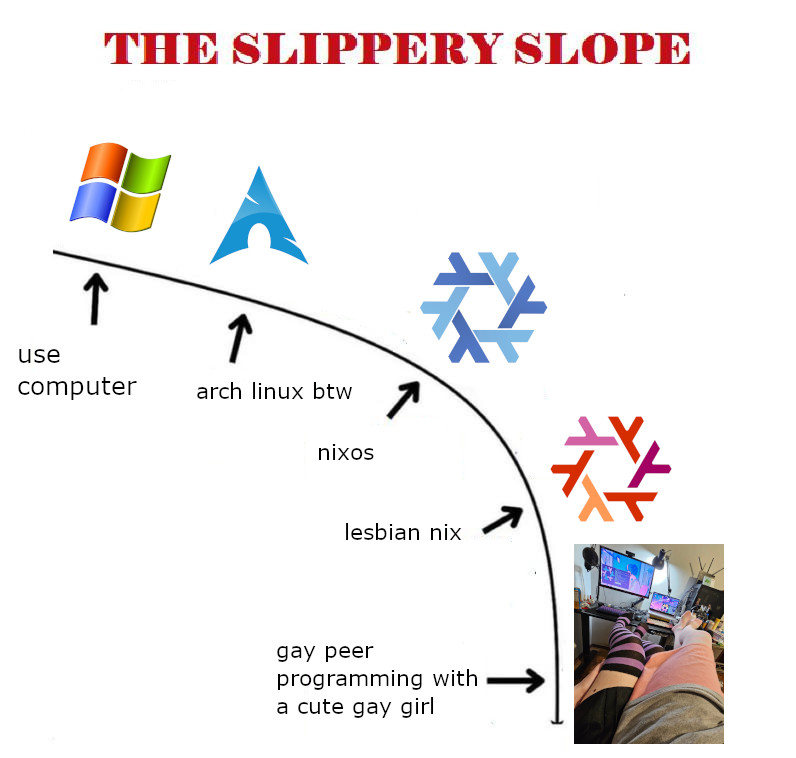 the slippery slope meme template

use computer -> windows image
arch linux btw -> arch linux image
nixos -> nixos snowflake image
lesbian nix -> lix snowflake image
gay peer programming with a cute gay girl -> image of @trustmeim.gay & @m1emi1em.dev‬ on a chair together with nixos in the background