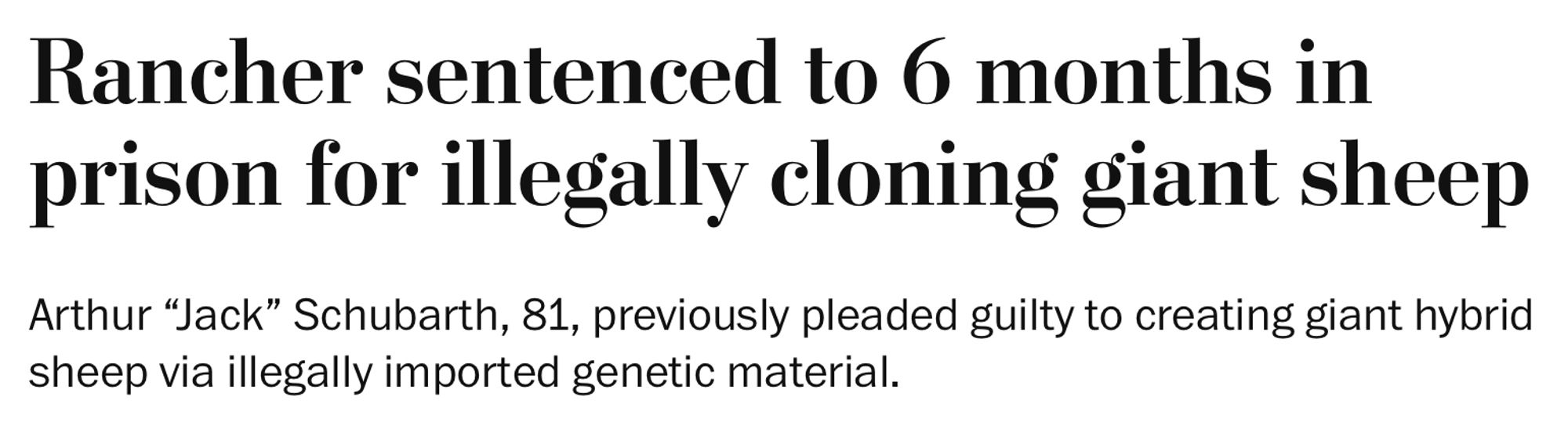 Headline: Rancher sentenced to 6 months in prison for illegally cloning giant sheep

Arthur “Jack” Schubarth, 81, previously pleaded guilty to creating giant hybrid sheep via illegally imported genetic material.