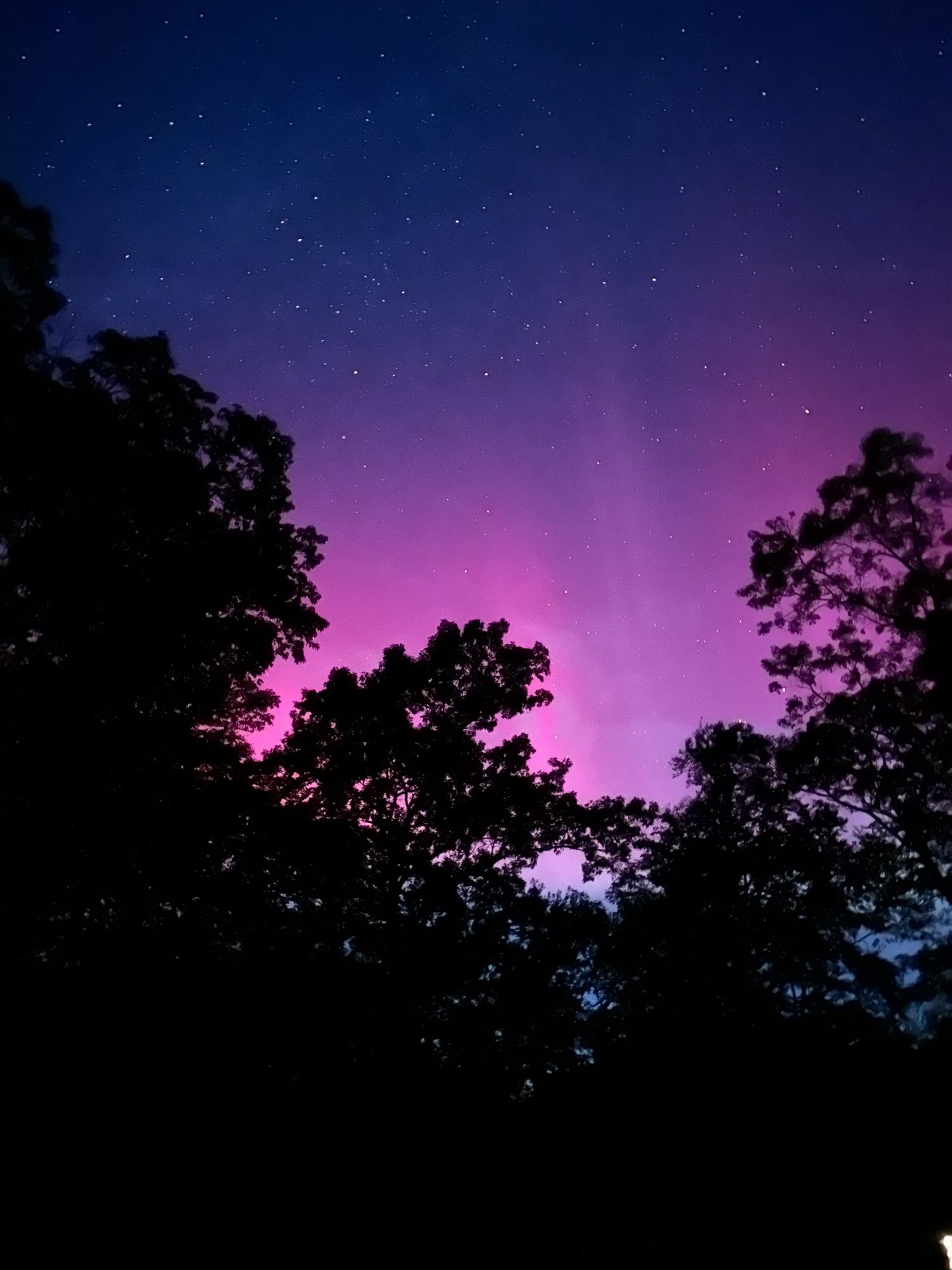 Pink pillars of light from the northern lights