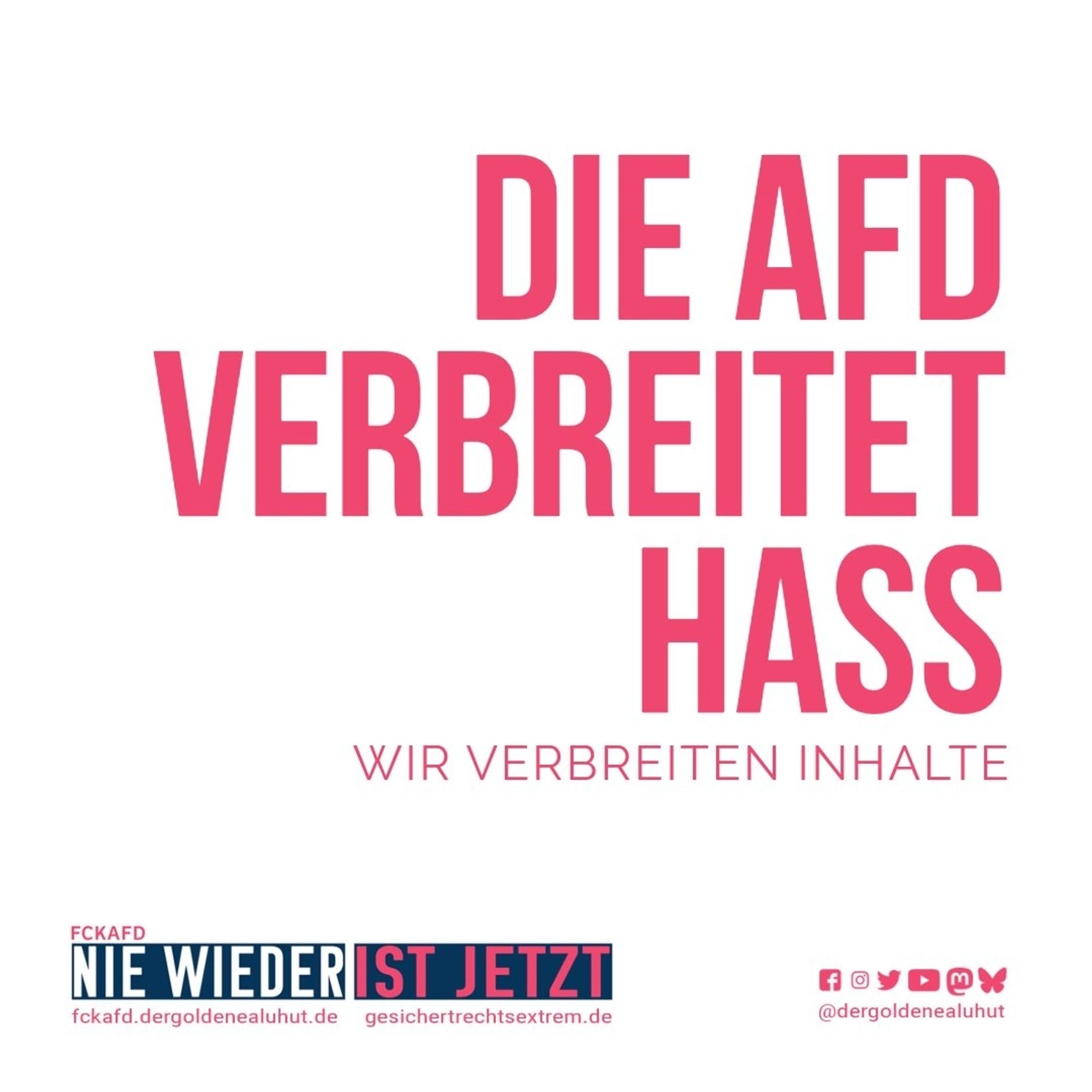 Textpic:
Die AfD verbreitet Hass
Wir verbreiten Inhalte
Unten: FCKAFD Nie wieder ist jetzt, Social Media Icons @dergoldenealuhut