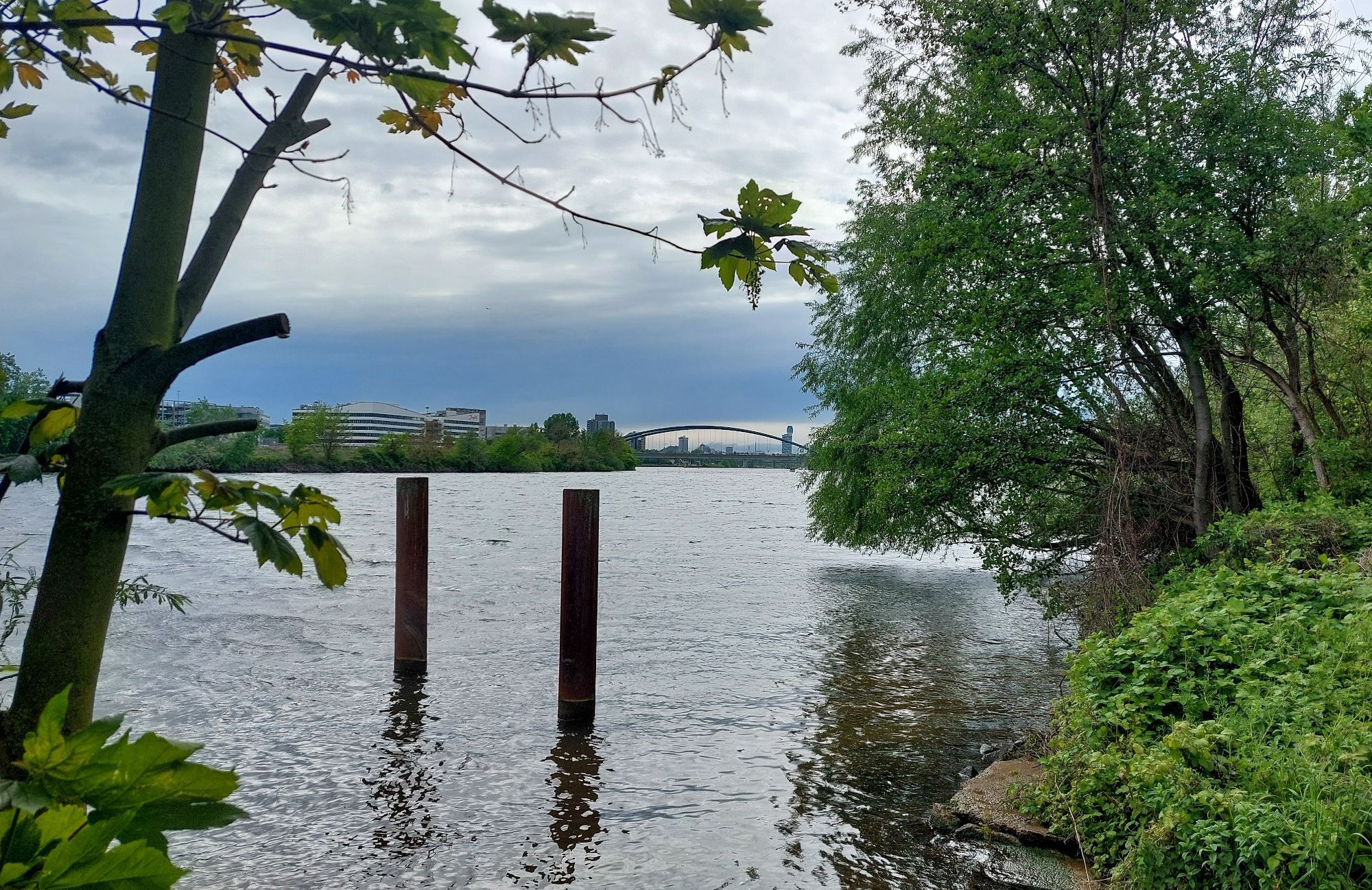 Flußblick durch Uferböschung und Pfähle, im Hintergrund Gebäude und eine Brücke unter dunklen Wolken