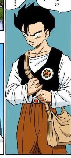 Gohan in his school uniform, a white long sleeve shirt with a black sweater vest style thing and brown slacks 