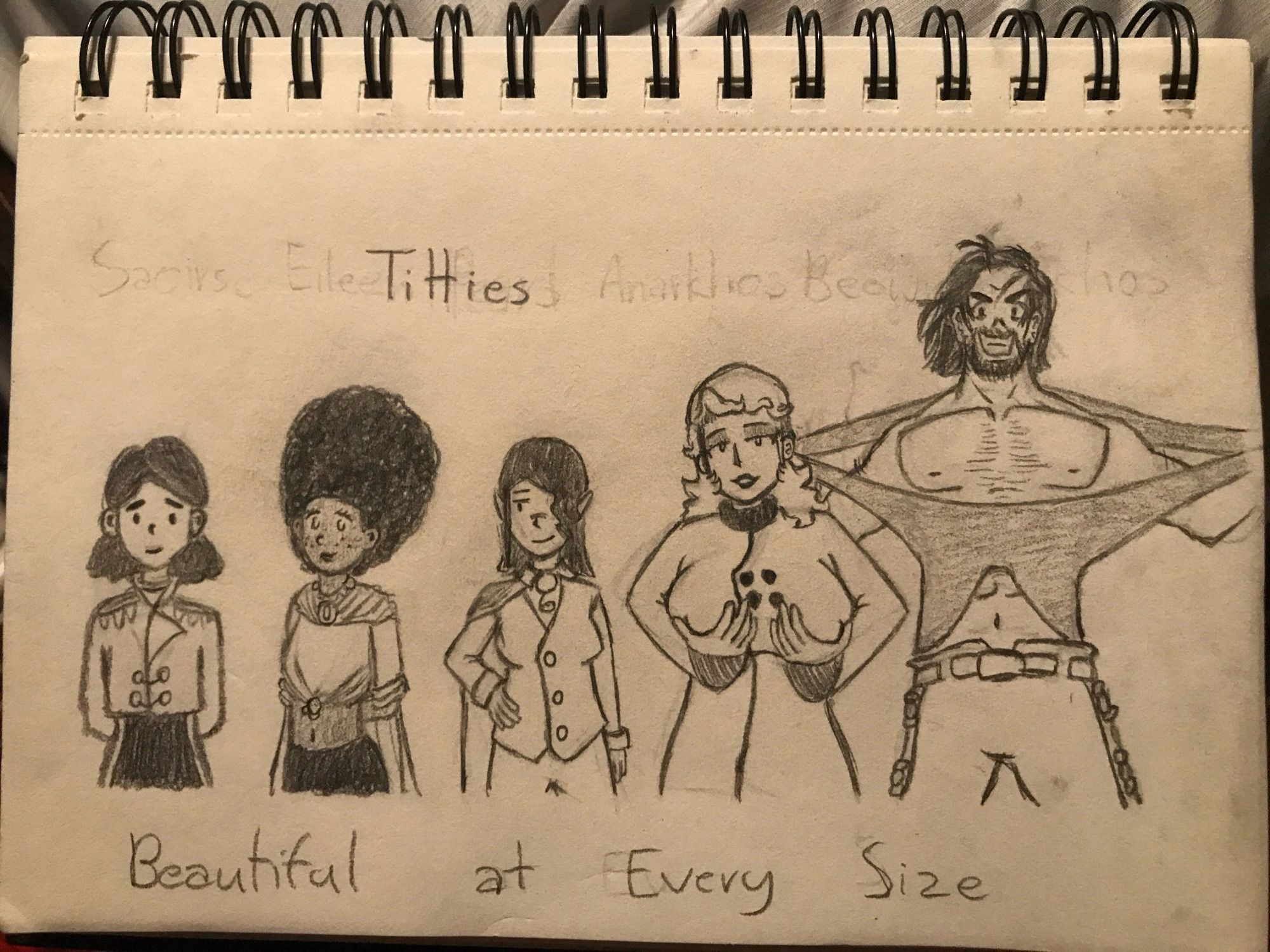 Traditional artwork of 5 characters lined up in order of increasing breast size. The punchline being that the last character is actually a man with large pecs. The artwork is then captioned “Titties, beautiful at every size”.