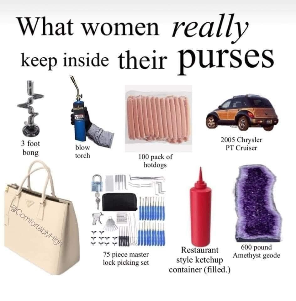 'what women keep in their purses'
- 3 foot bong
- blowtorch
- 100 pack of hotdogs
- 2005 chrysler pt cruiser
- 75 piece master lock picking set
- restaurant style ketchup container
- 600 pound amethyst geode