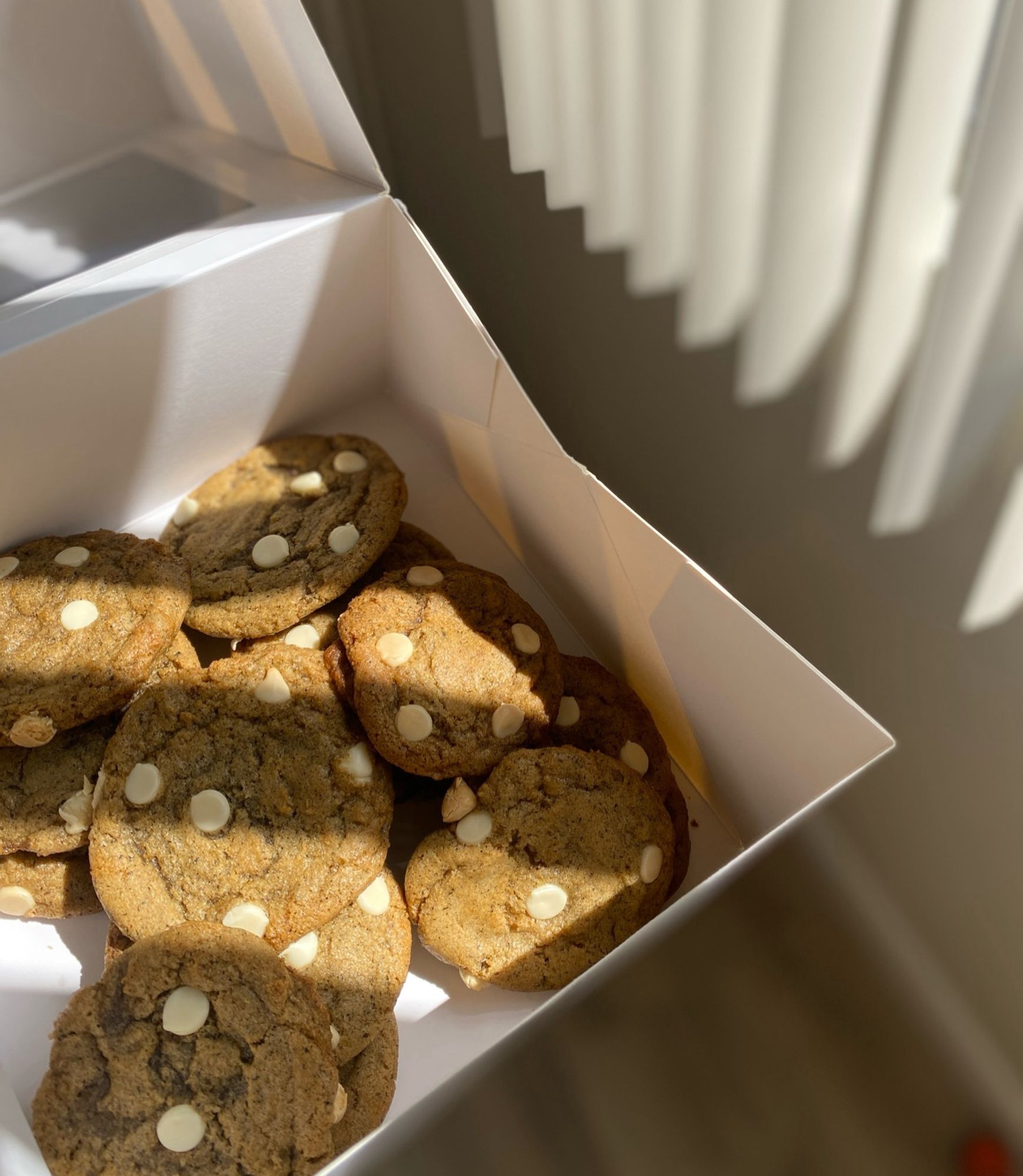 Brown cookies in a box with white chocolate chips