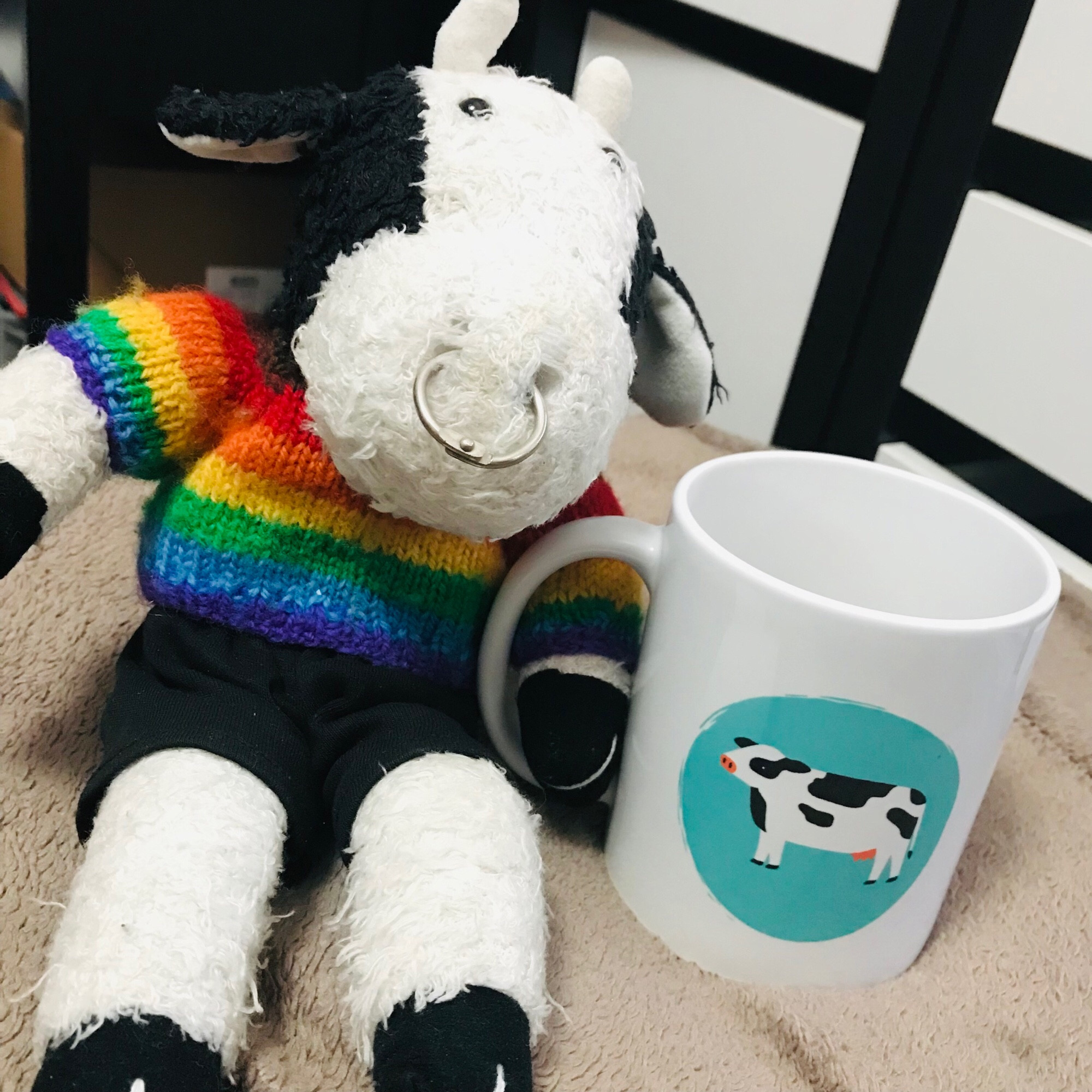 Bully and his mug that has a cow on it (from Cow of the Day, who I wish was on Bluesky)