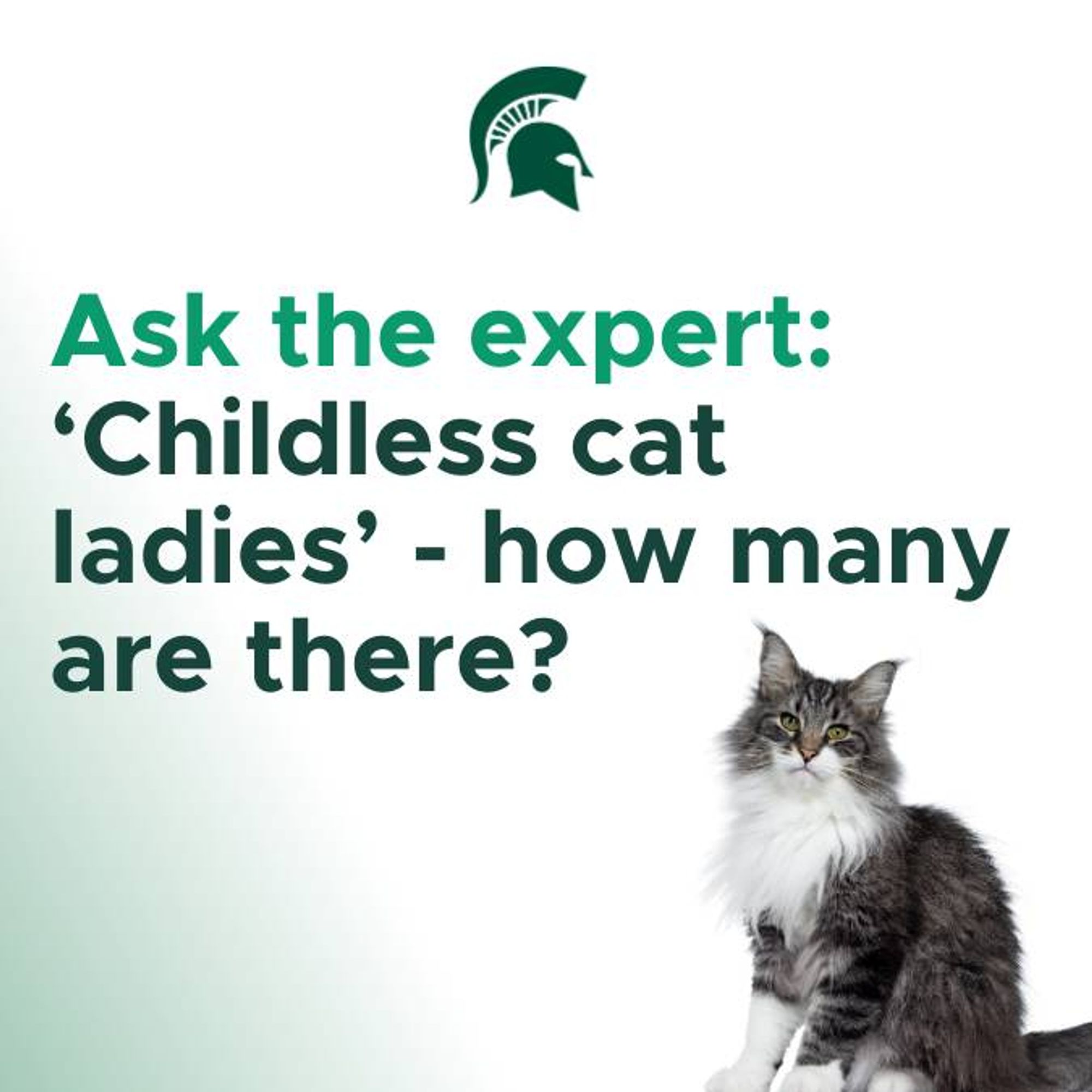 Text reads "Ask the expert: 'Childless cat ladies' - how many are there?" Above is the Spartan logo. At the bottom is a cat looking directly at you.