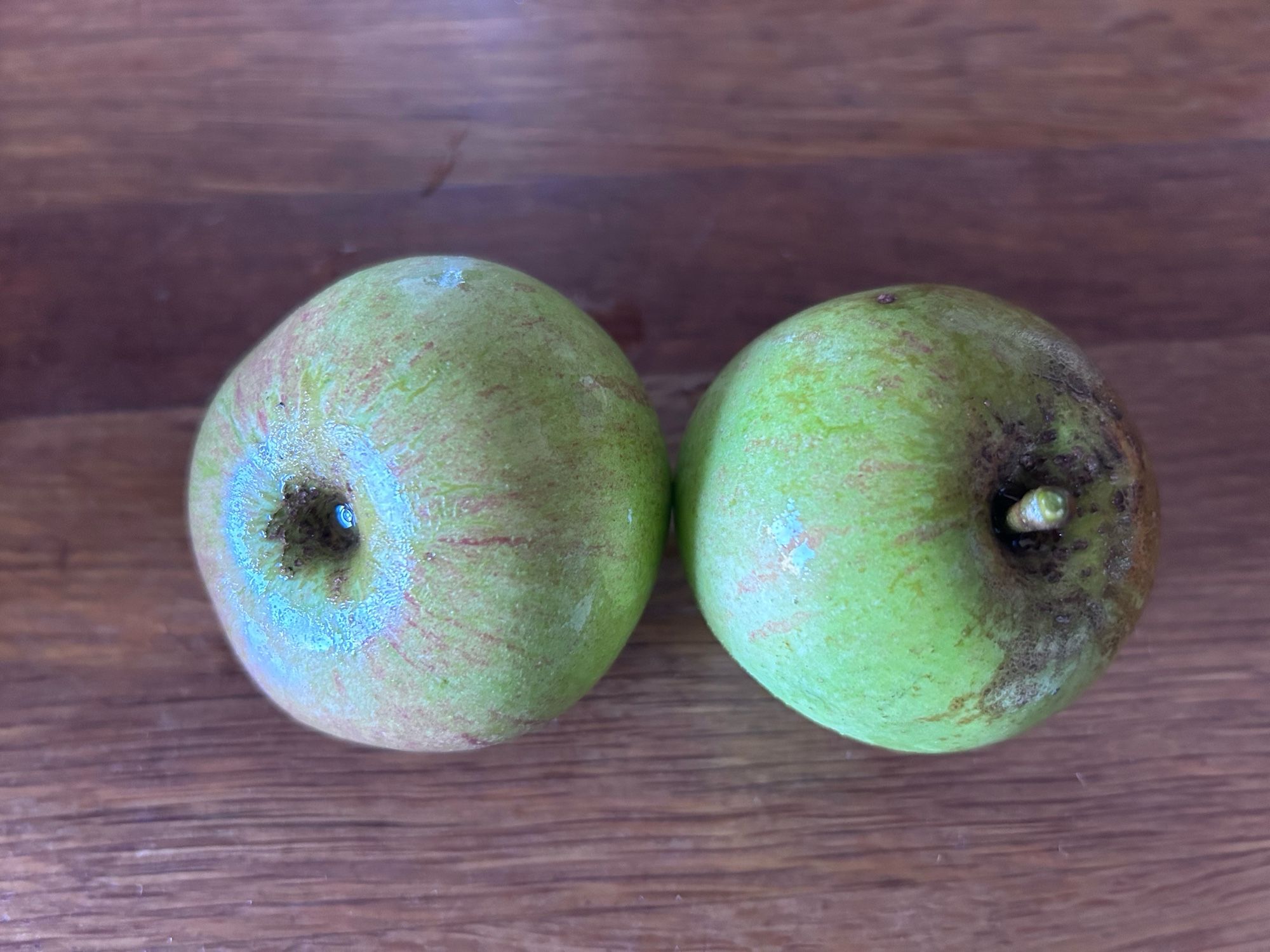 Two green apples on a wooden countertop. Looking like an interesting still life.