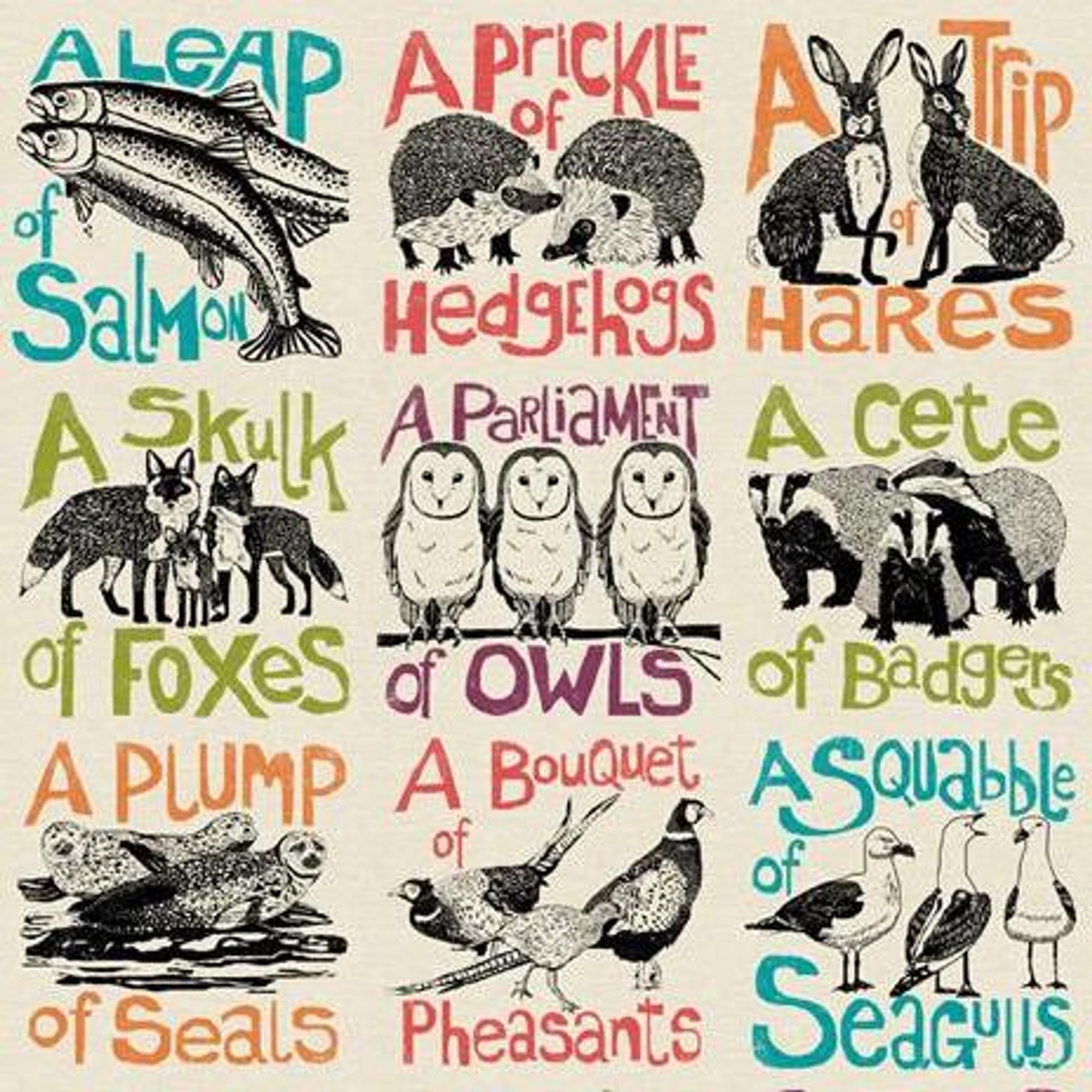 Drawings of animals with their collective nouns. Example: A leap of salmon.