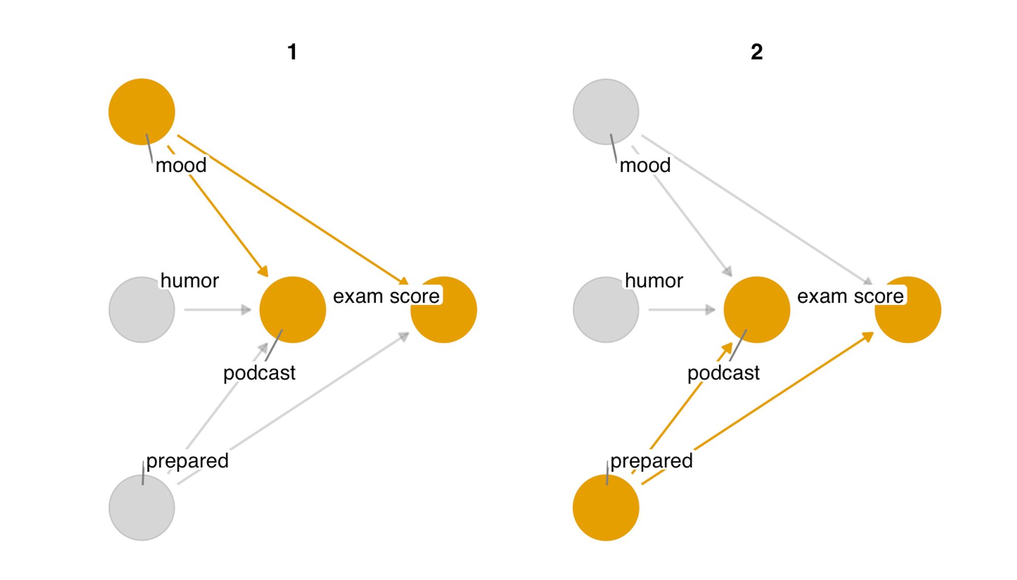 A screenshot of a DAG from Causal Inference in R showing two open pathways in an analysis a scientist must account for to get the correct answer