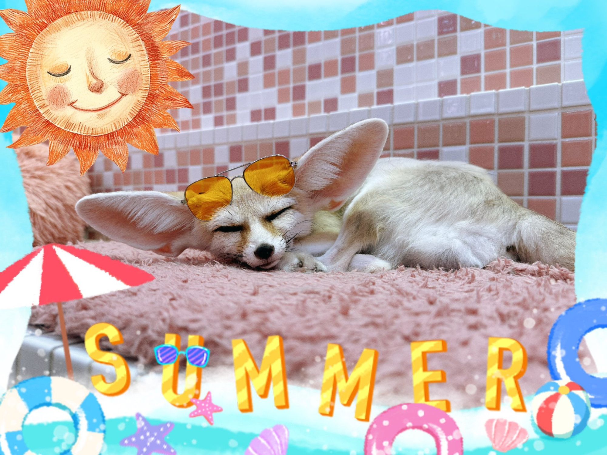 A photo of a fennec fox, relaxing on a petbed with an orange pair of sunglasses ontop of its head. The picture is surrounded by cartoony beach themed graphics, including a sun, a parasol, seashells, starfish, inflatable objects, and the caption "SUMMER" - with the letter "U" wearing sunglasses.