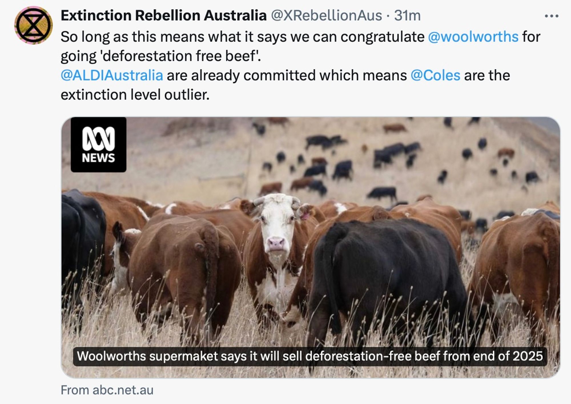 So long as this means what it says we can congratulate @woolworths for going 'deforestation free beef! @ALDIAustralia are already committed which means @Coles are the
extinction level outlier.