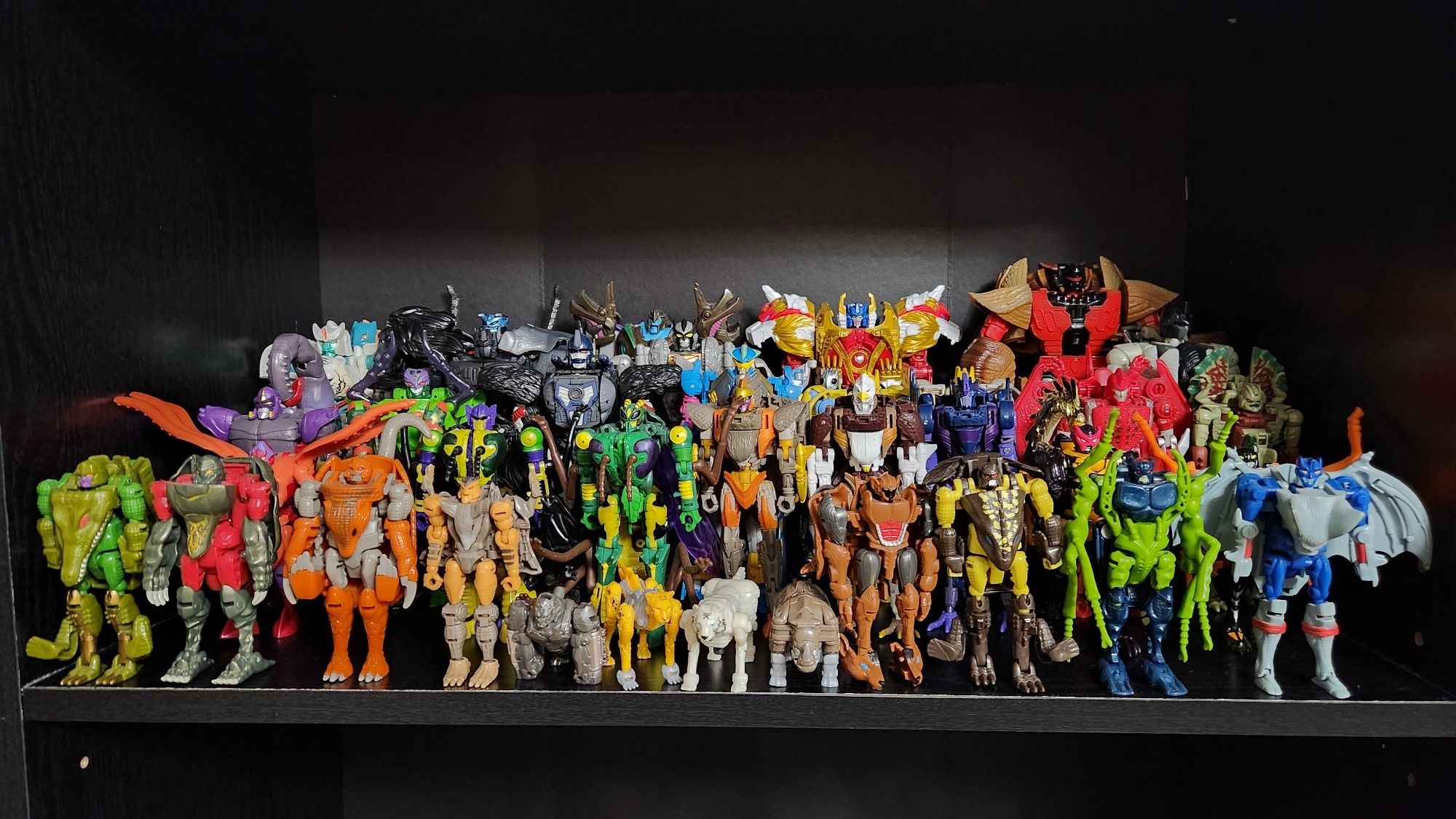 A shelf full of Beast Wars Transformers