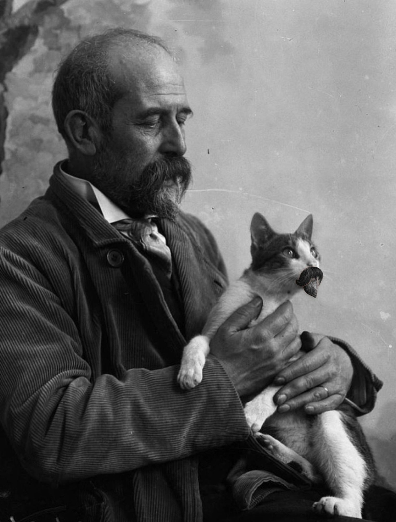 Black and white photo of a balding Portuguese man with magnificent drooping mustache sitting for a studio portrait. In his lap he gently holds a shorthaired white and black cat that looks brightly up in the air as if someone is swinging a toy to get its attention.

The kitty and man have matching van dyke handlebar mustaches and pointy devil chin beards