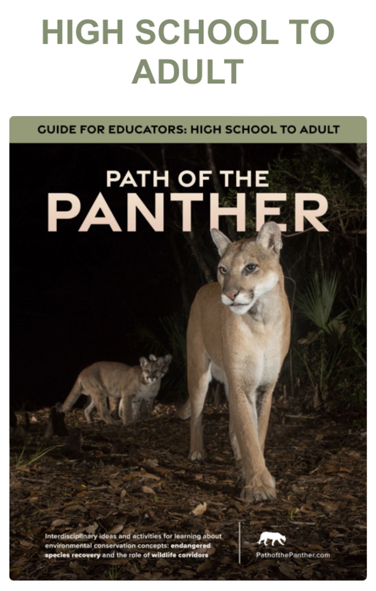 Cover image of an education guide for the documentary Path of the Panther.  Shows mother panther and two cubs in the forest.