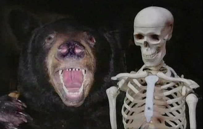 A bear next to a skeleton, the Special Picture used in the Slimby weight-loss program, from "Look Around You" series 2, episode 4 - "Food"