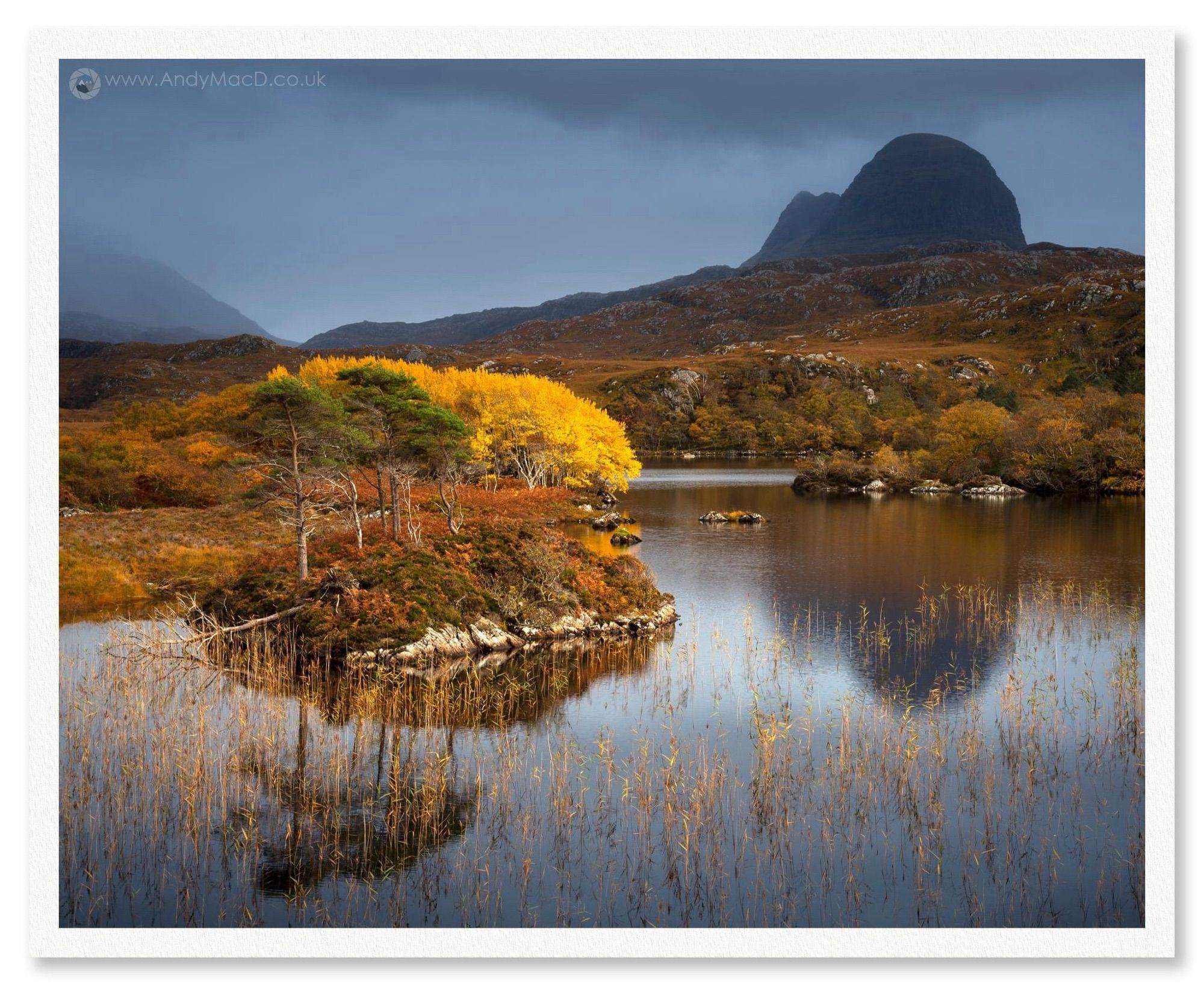 The might Suilven looms over autumnal aspens by a loch in Scotland.