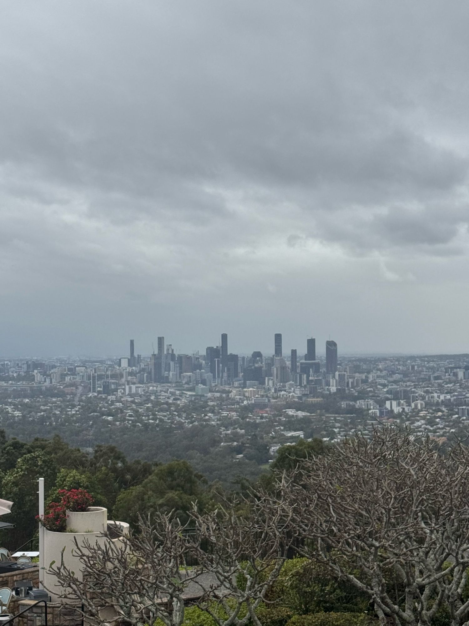 A picture of Brisbane, with the CBD skyline at the centre of the photo, from the Mount Coot-tha lookout. There are leafless frangipani trees in the foreground. The sky is grey and cloudy