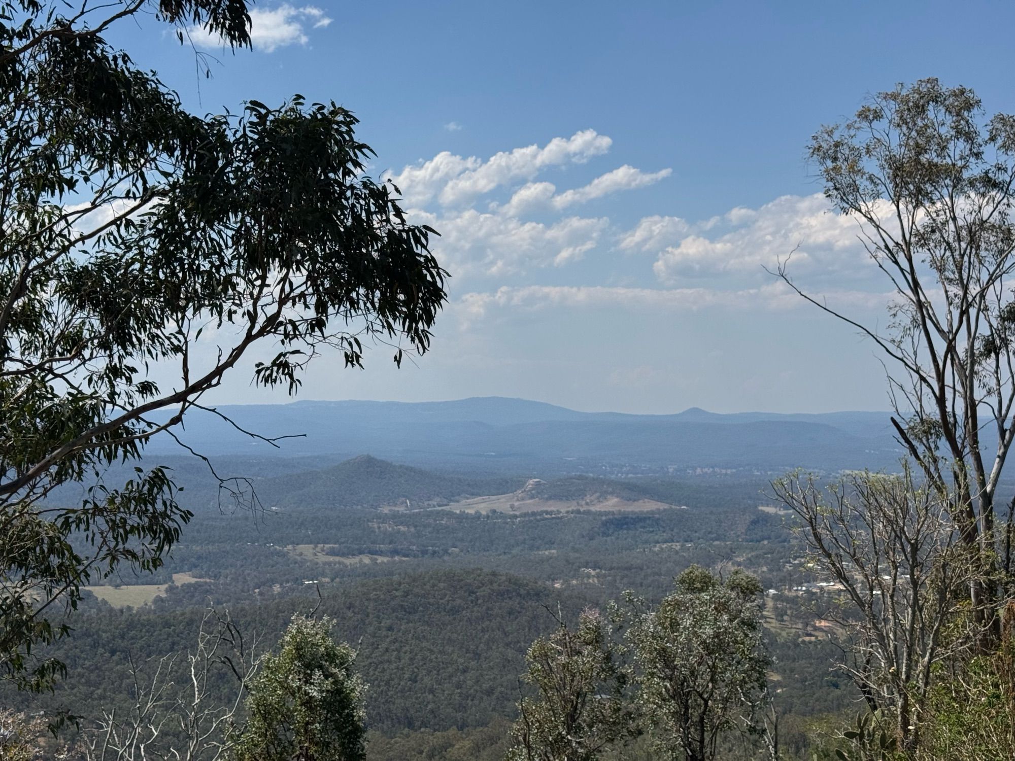 Scenic view of the Australian bush looking out over a valley, there are eucalyptus trees on either side of the frame