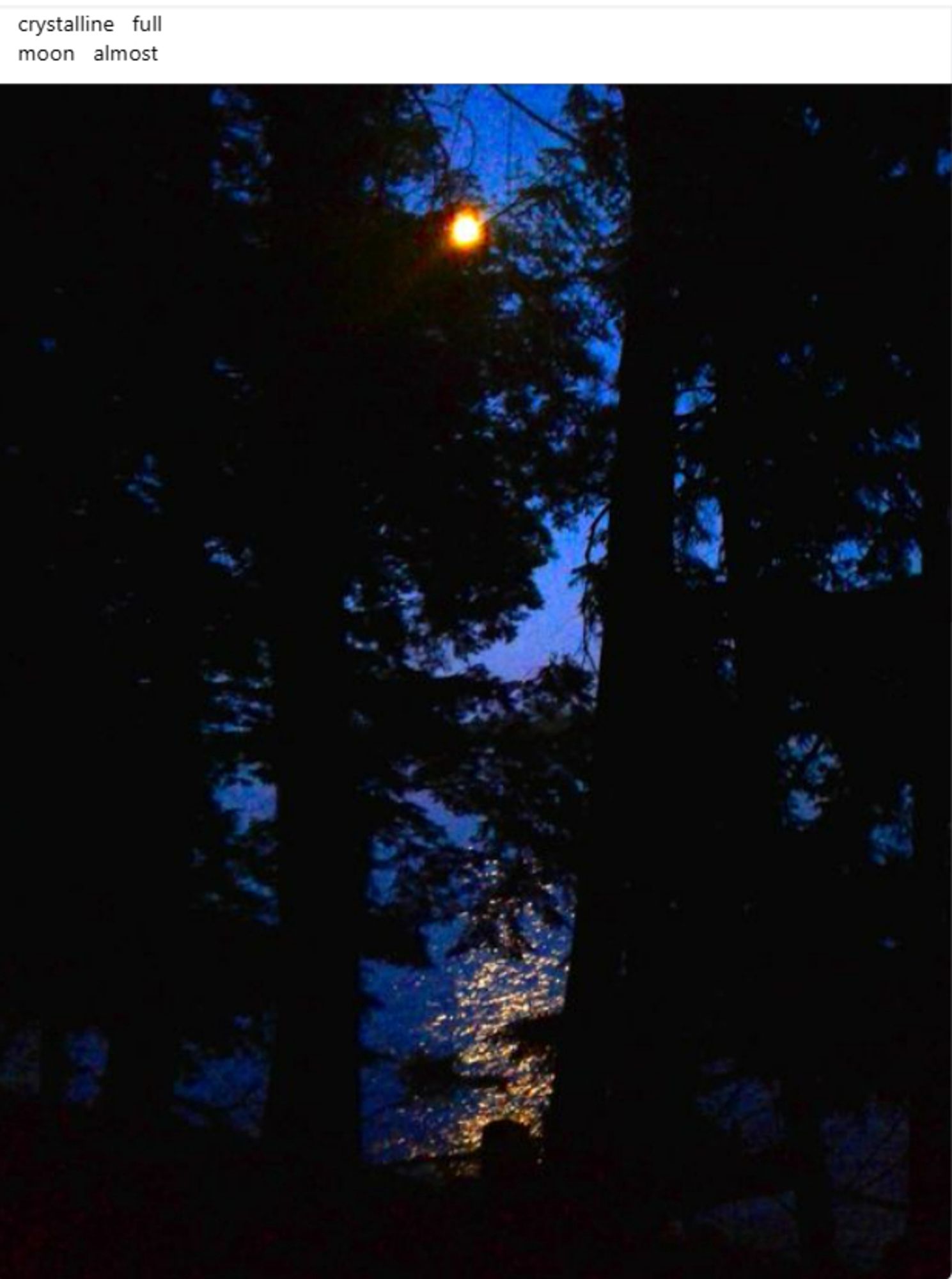 Moon through trees. Trees (pine) in silhouette. Moon, almost full, casting light on the lake thru the trees. Dark blue, yellows, royal night blue. A photo w/ text:
crystalline    full
moon      almost 