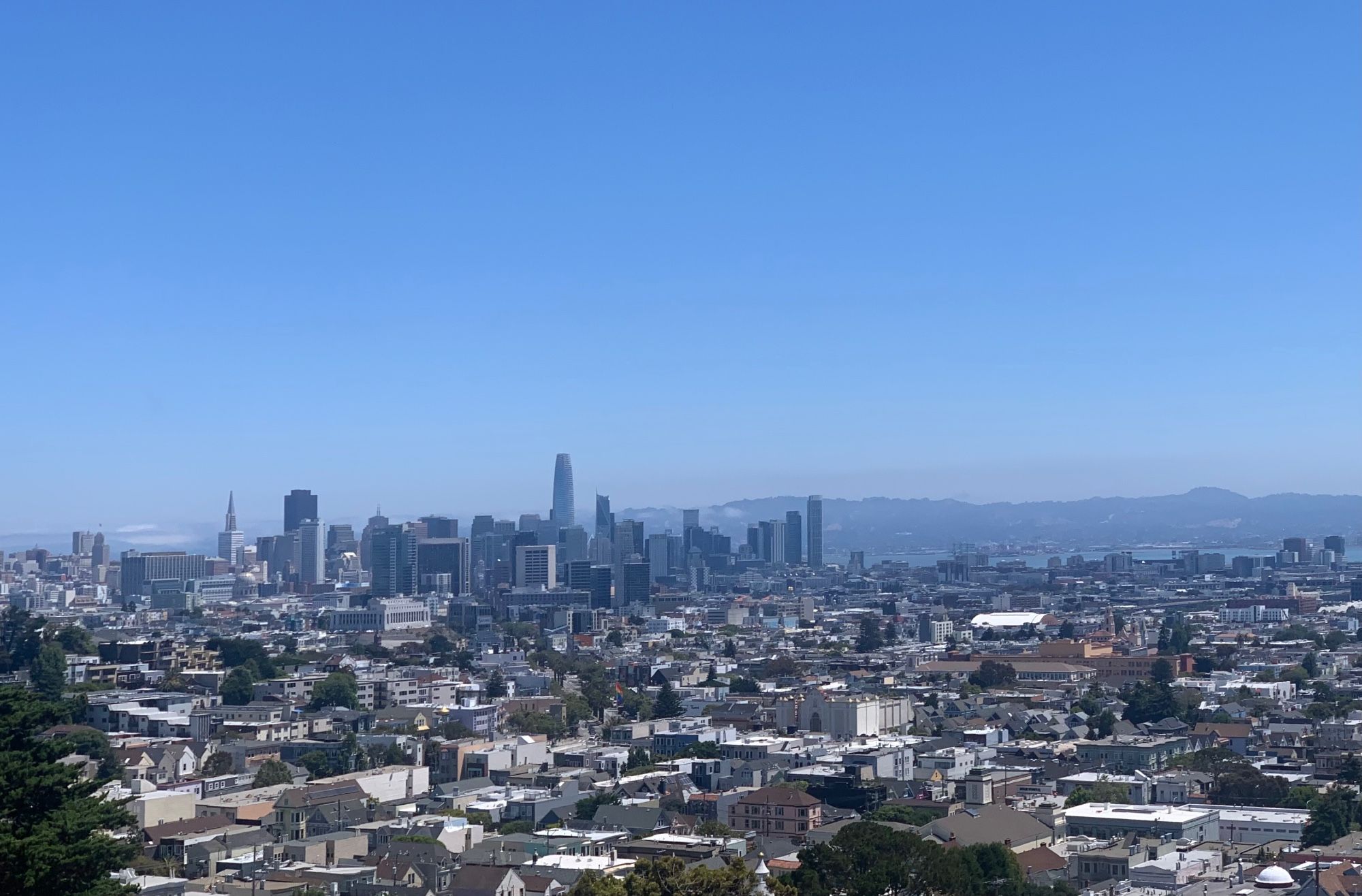 Downtown SF as seen from the upper edges of Dolores Park, sunny in July, it was all fog yesterday at this time.