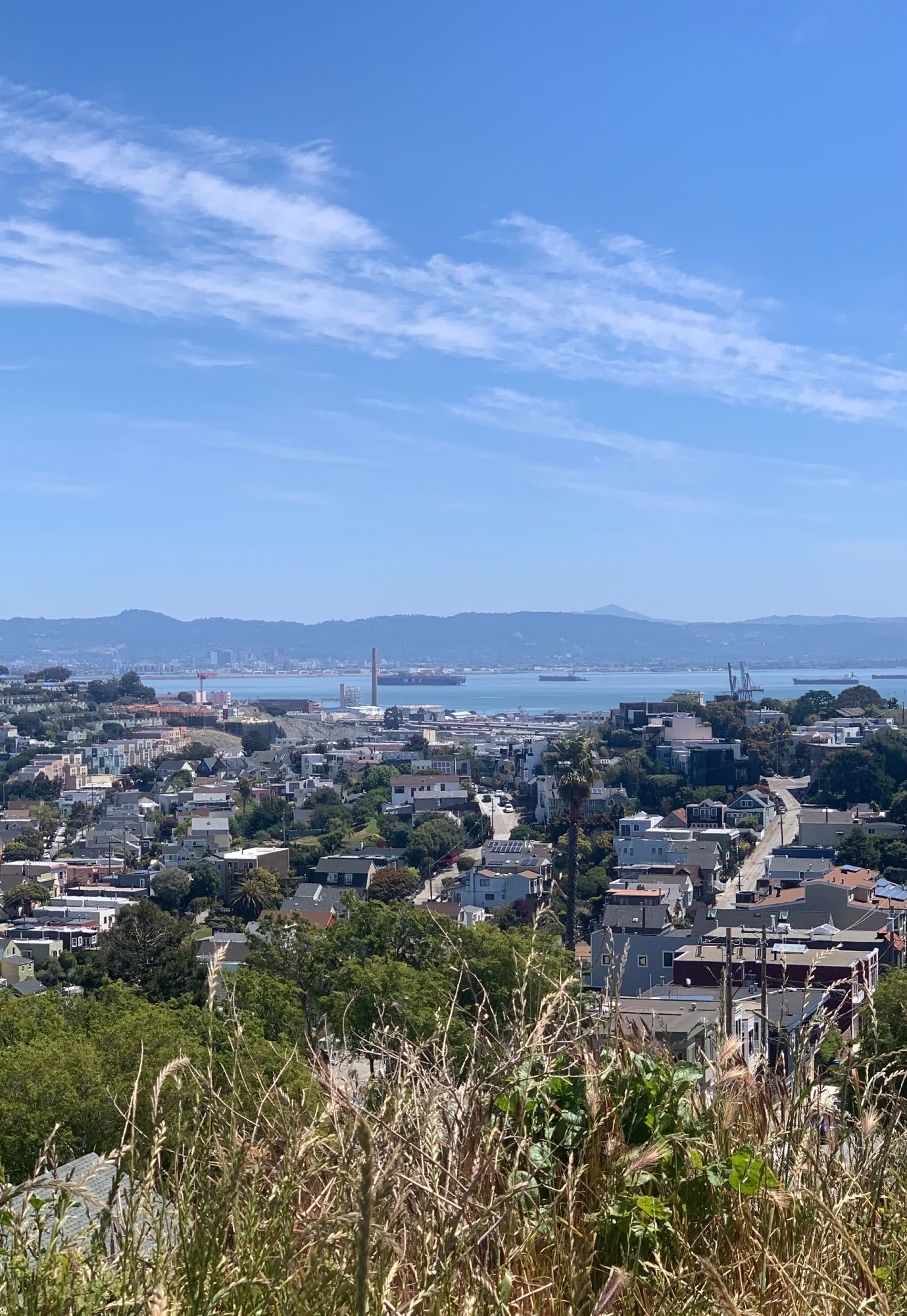 A busy San Francisco Bay still on a Sunday, boats at anchor, cranes quiet.