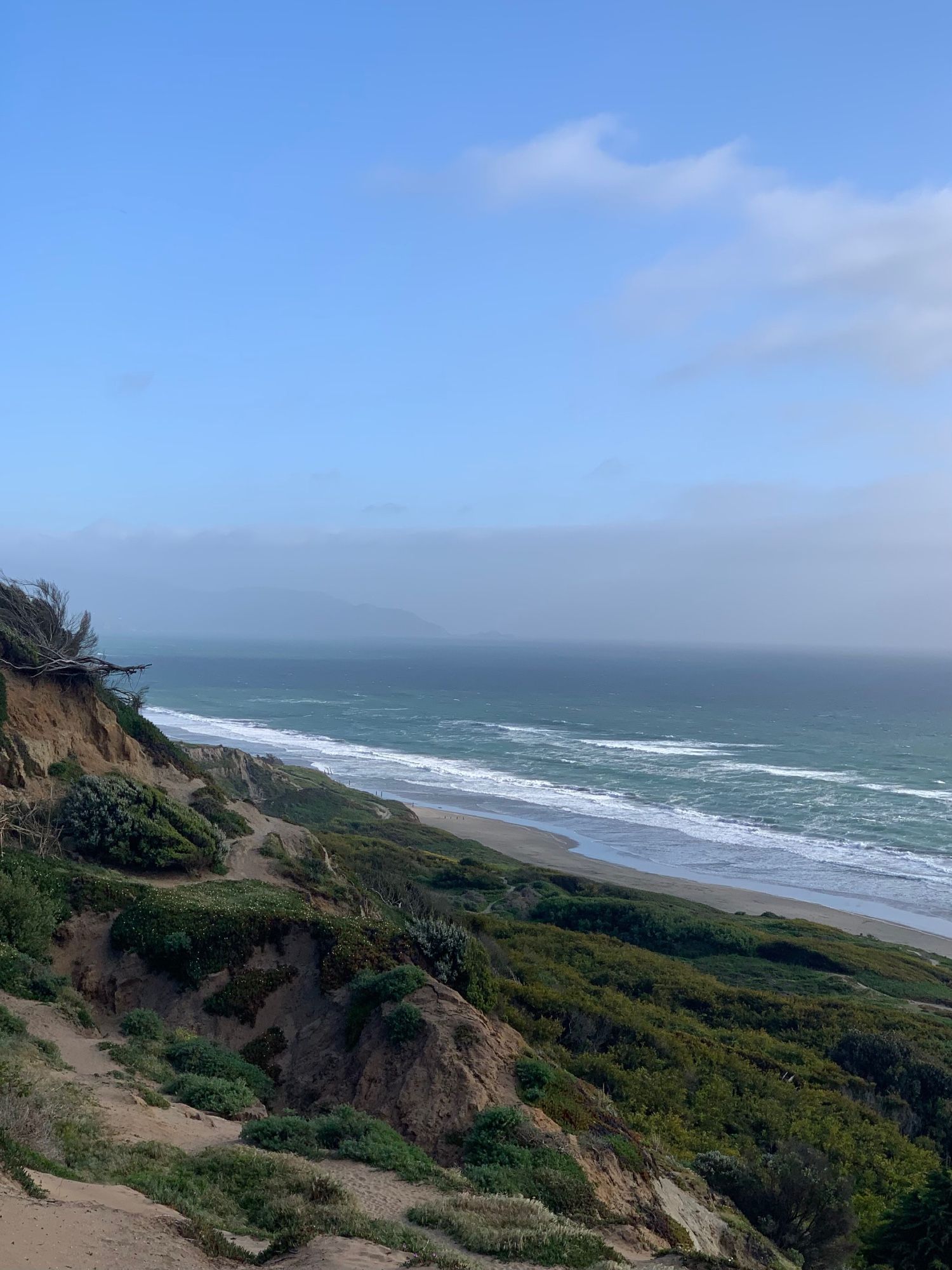 The blue Pacific and the fog coming in on the coast of California from the dune-cliffs of Fort Funston in San Francisco