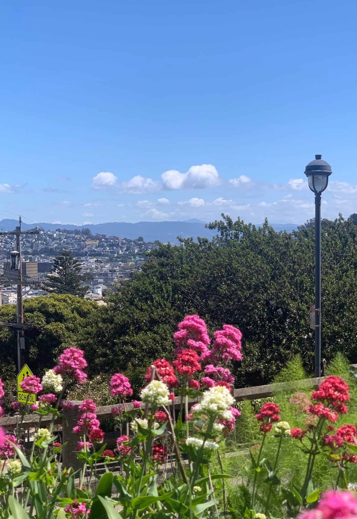 The view from the edge of Noe Valley and the base of Billie Goat Hill (the site of the orgy scene in Sense8) on a quieter morning.  Looking east across the bay.