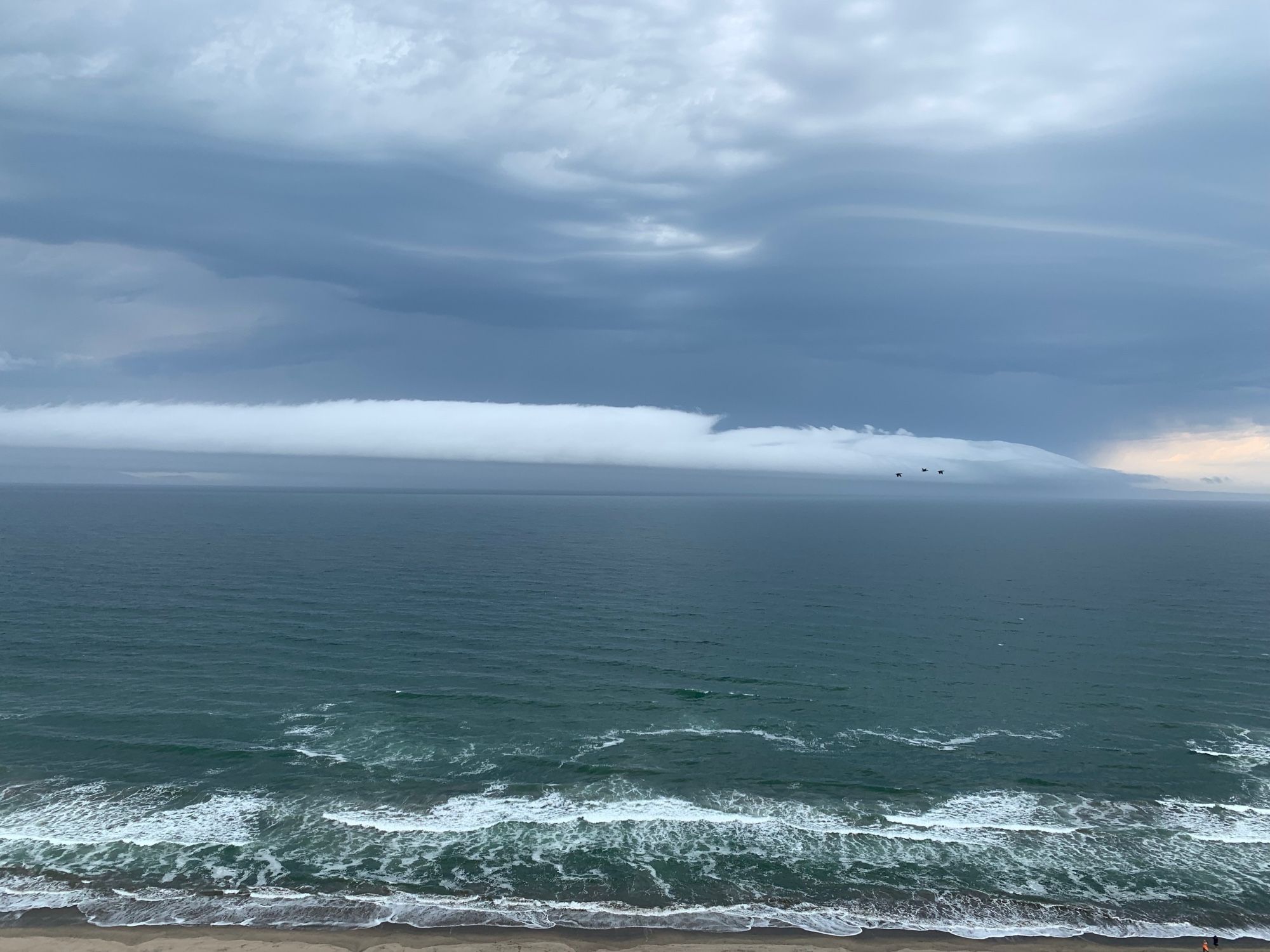 A foggy coastal morning in late summer. Fort Funston cliffs looking to the Pacific.