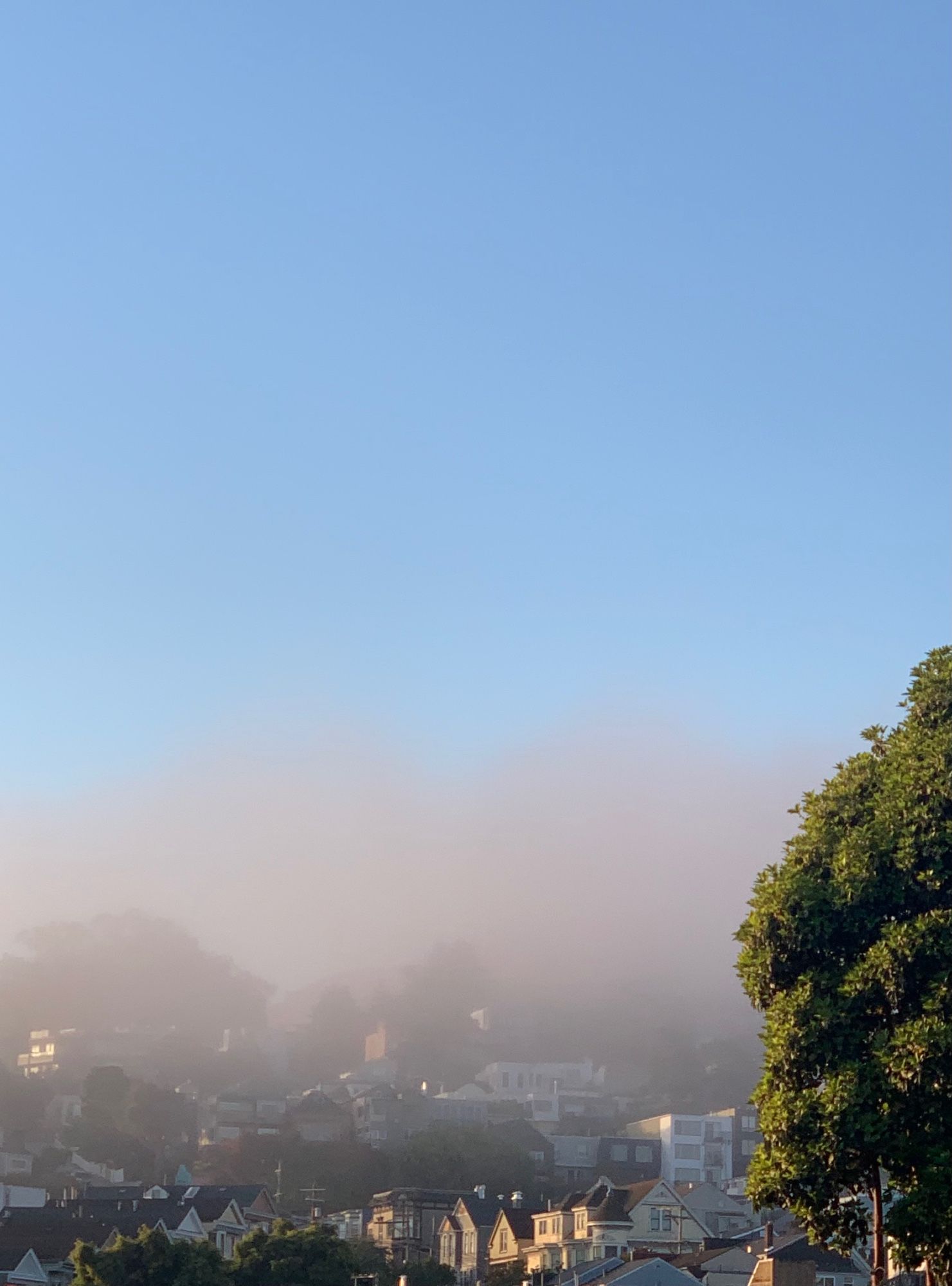 Evening fog still hugging Bernal Heights Hill but not for long on an already warm morning in San Francisco.