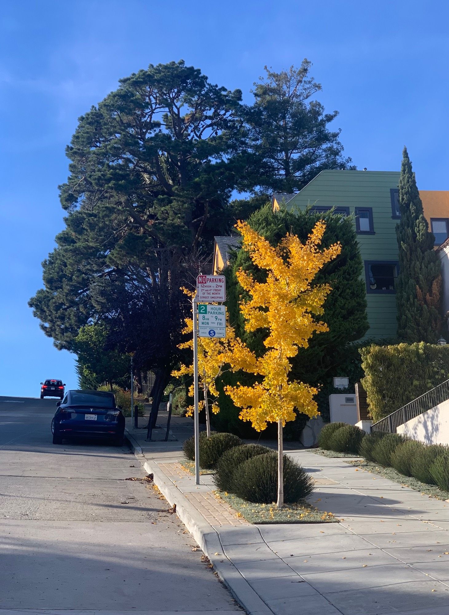 A walk up Liberty Hill in late fall.