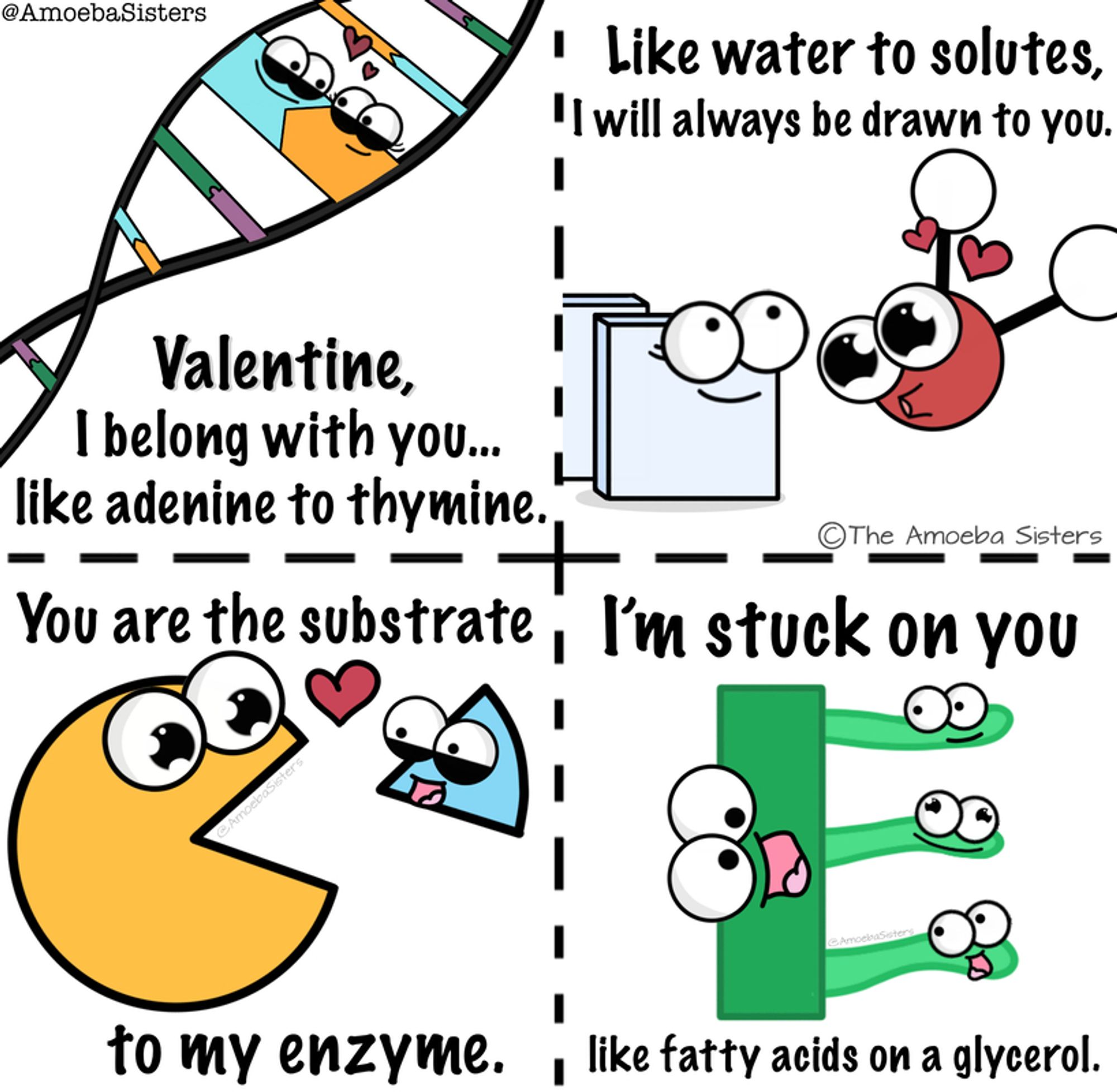 Valentine, I belong with you... like adenine to thymine.

Like water to solutes, I will always be drawn to you

You are the substrate to my enzyme.

I'm stuck on you like fatty acids on a glycerol.