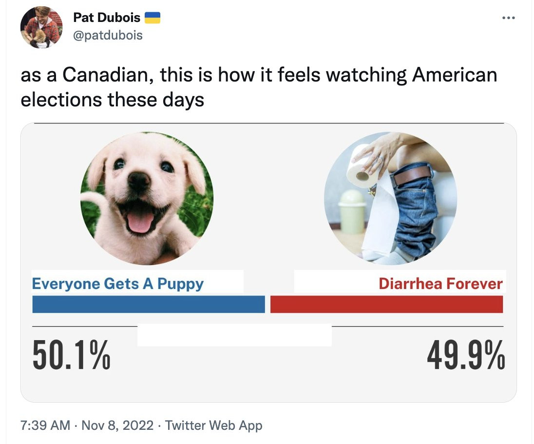 As a Canadian, this is how it feels watching American elections these days, and it's the everyone gets a puppy vs. diarrhea forever meme.