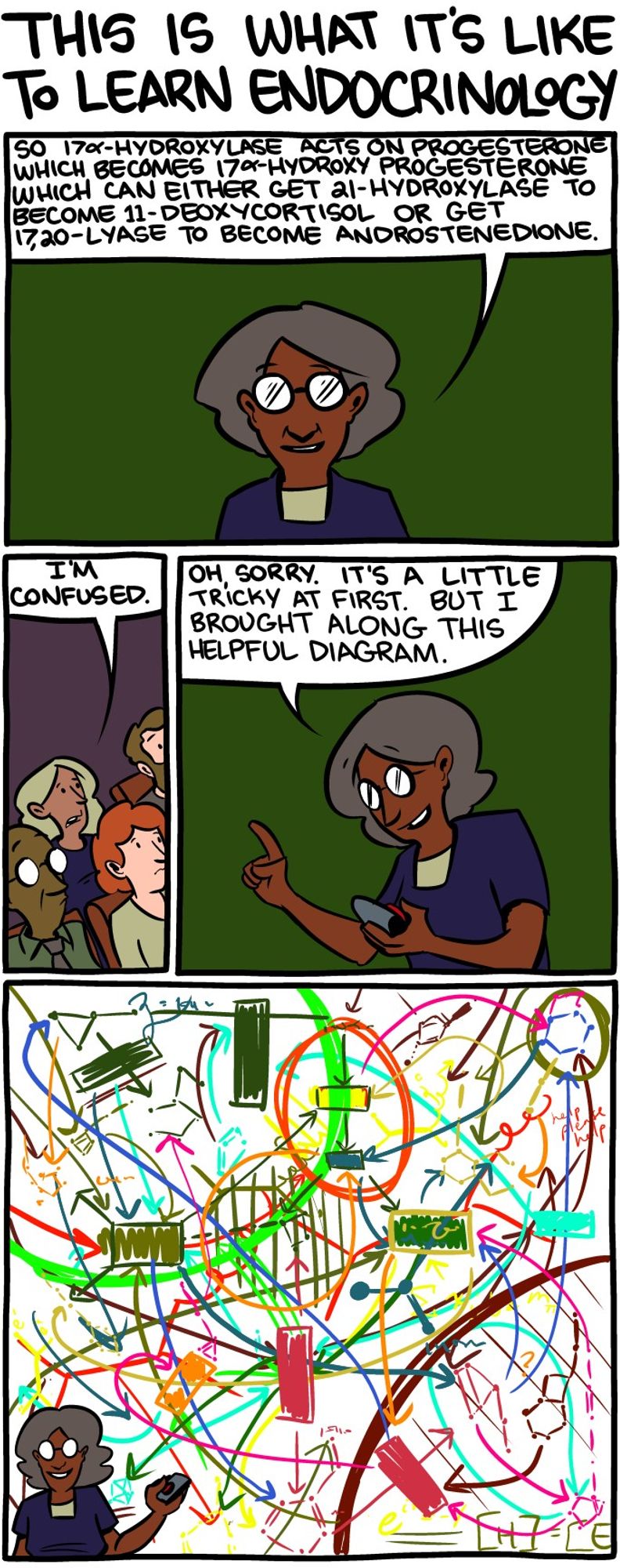 "This is what it's like to learn endocrinology".  Four panel comic in portrait format from SMBC.  The whole gag is that describing the molecules involved in androsterone synthesis are terrible to describe, but a descriptive figure of the pathway looks just as horrifyingly complex.