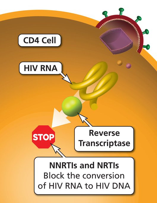 A diagram shows a CD4 cell with HIV RNA following entry and the Reverse Transcriptase enzyme being inhibited by NNRTIs and NRTIs