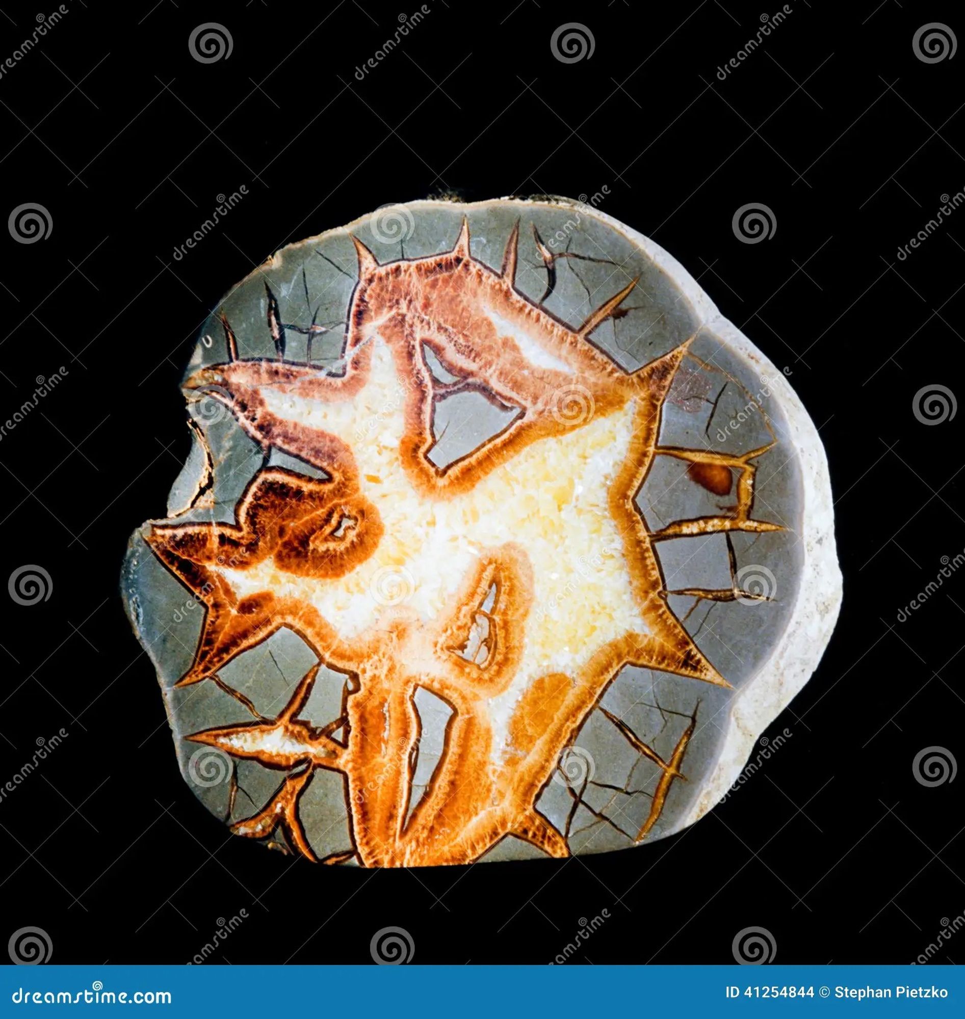 Septarian Concretion Nodule Scalenohedral Calcite Stock Photo - Image of precious, calcite: 41254844