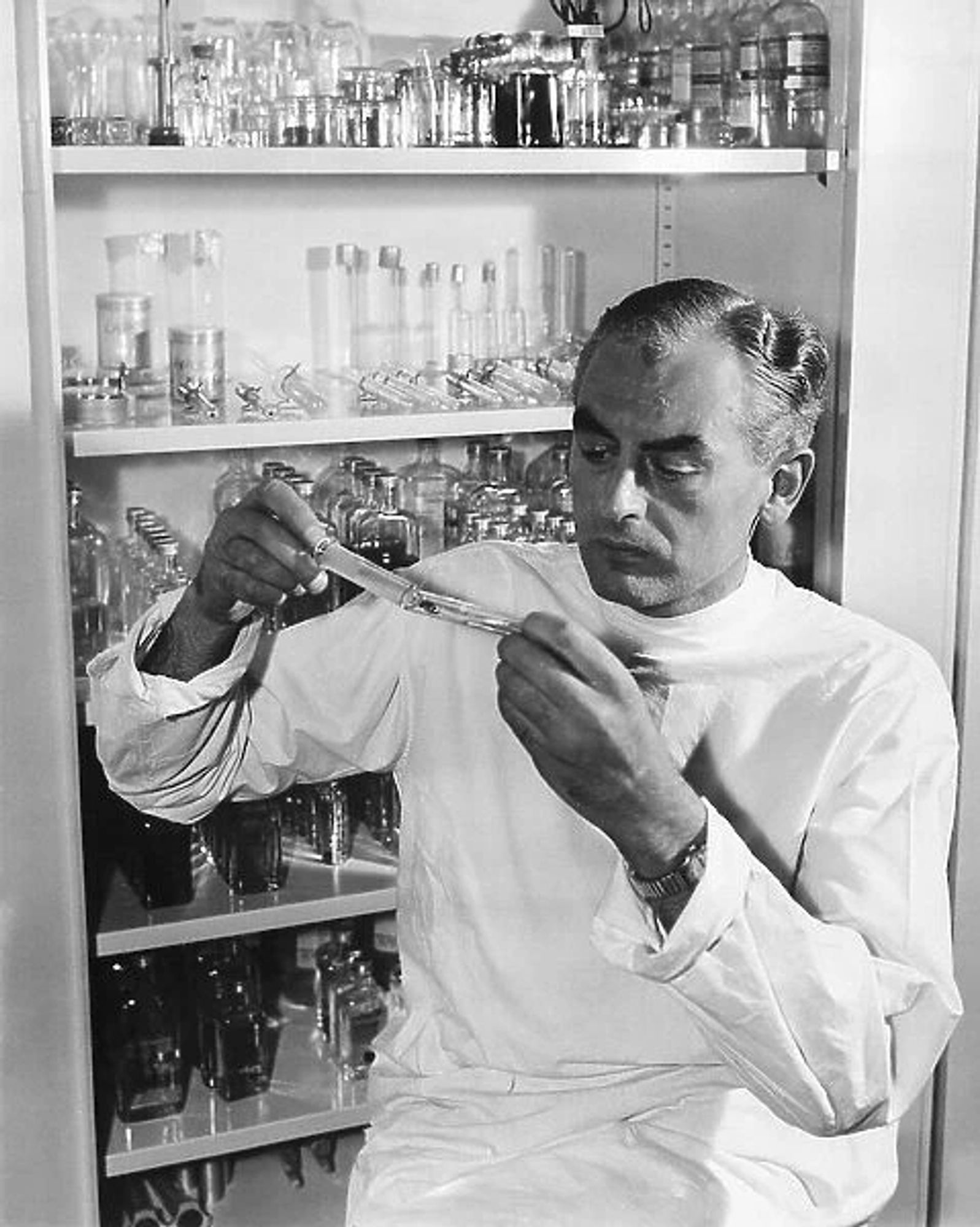 Sir Peter Medawar stands in front of the lab's glassware, apparently working on some piece of apparatus that he holds in both hands.  He has dark eyebrows, silver hair, and a determined, thoughtful look on his face.  He wears a white lab jacket with rolled-up sleeves.  B&W photo.