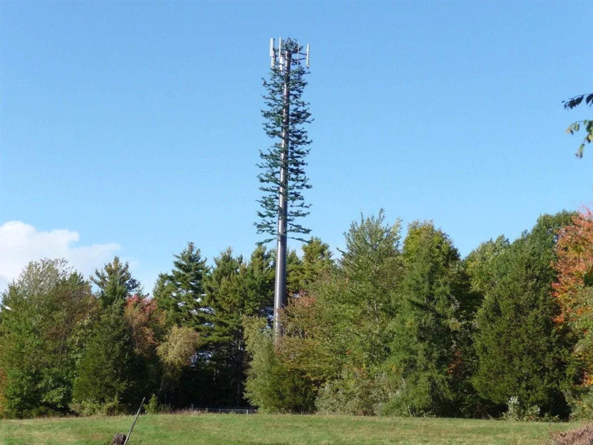 A cell phone tower with broadcast antennae has been "cleverly" disguised as a giant aluminum pine tree with guide-wires.  The humor is that it's not all that well concealed, but they've glued some fake limbs to it.