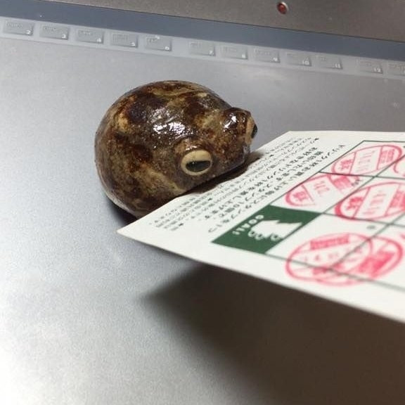 A tiny weird frog looking at one of those customer loyalty stamp cards but I'm pretending it's a lil menu for my bit.