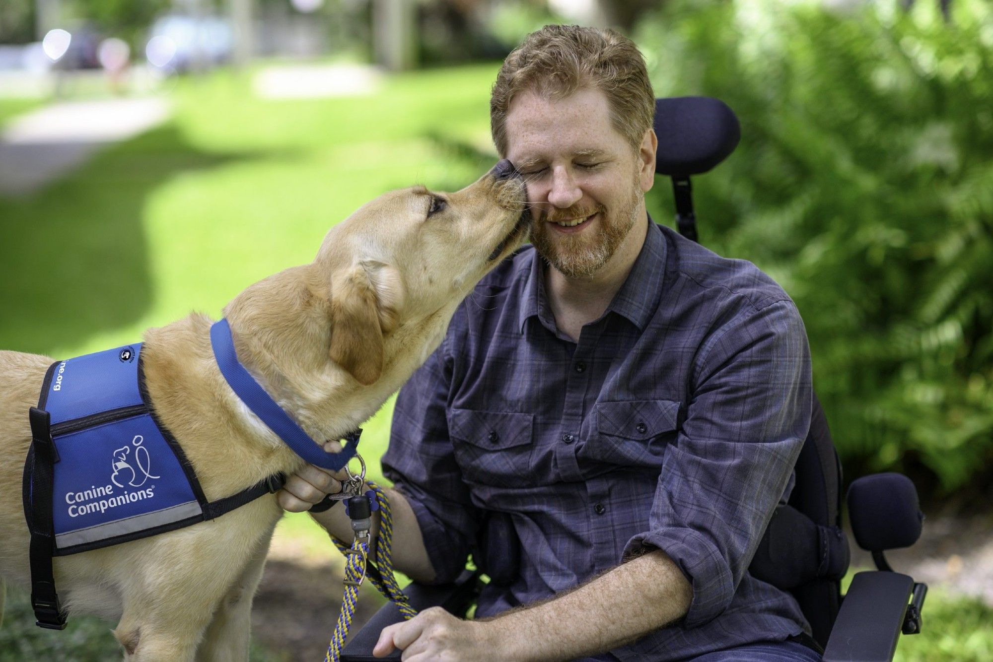 a service dog giving a kiss to a man in a wheelchair