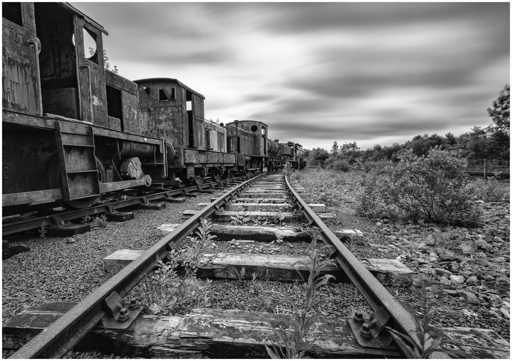 A black and white image featuring old, rusted locomotives lined along overgrown railway tracks. Vegetation surrounds the tracks, with a cloudy sky overhead.