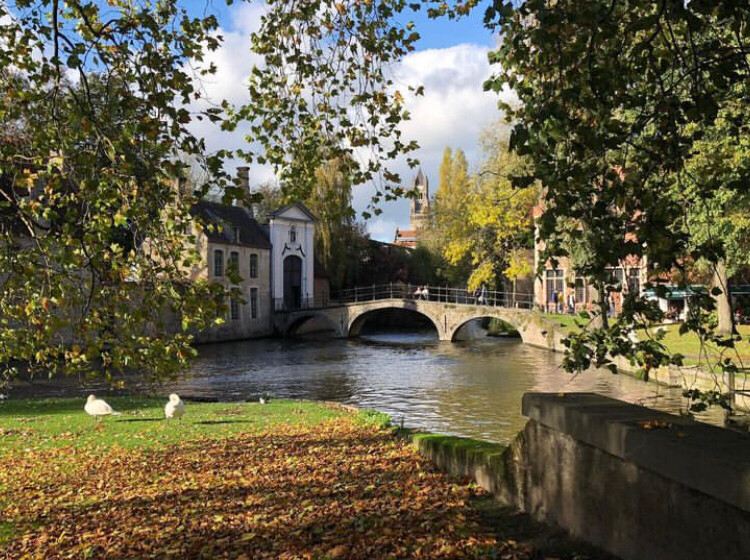 Vue sur un pont à Bruges, sol recouvert de feuilles