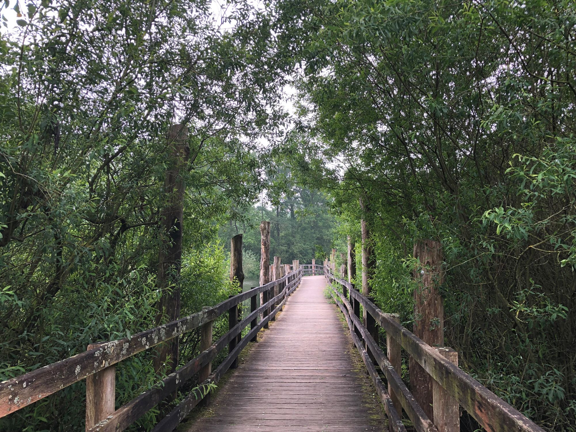 Un pont dans le Marais de Fretin, Nord