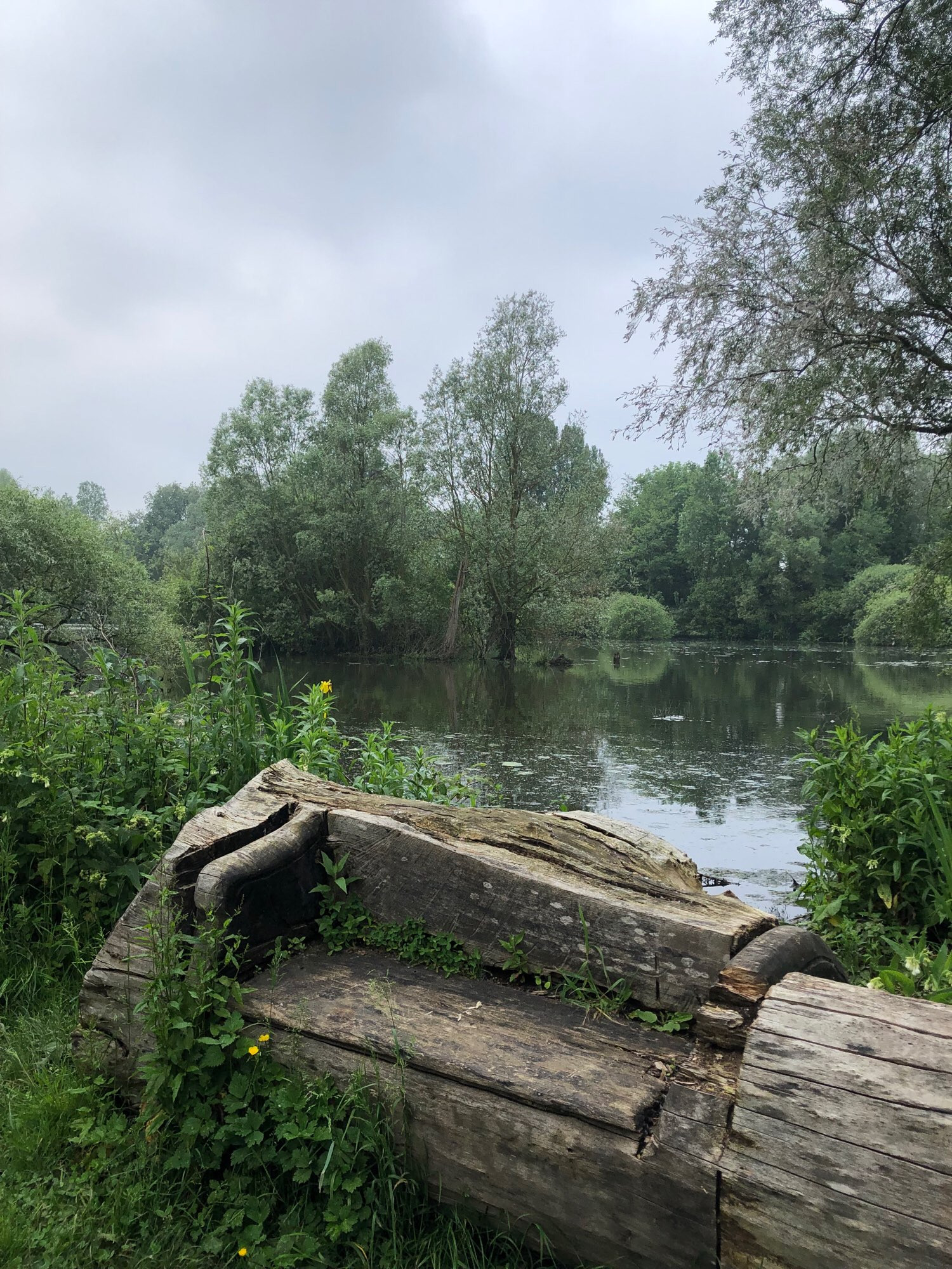 Vue sur le marais avec, au premier plan, un banc taillé dans un tronc