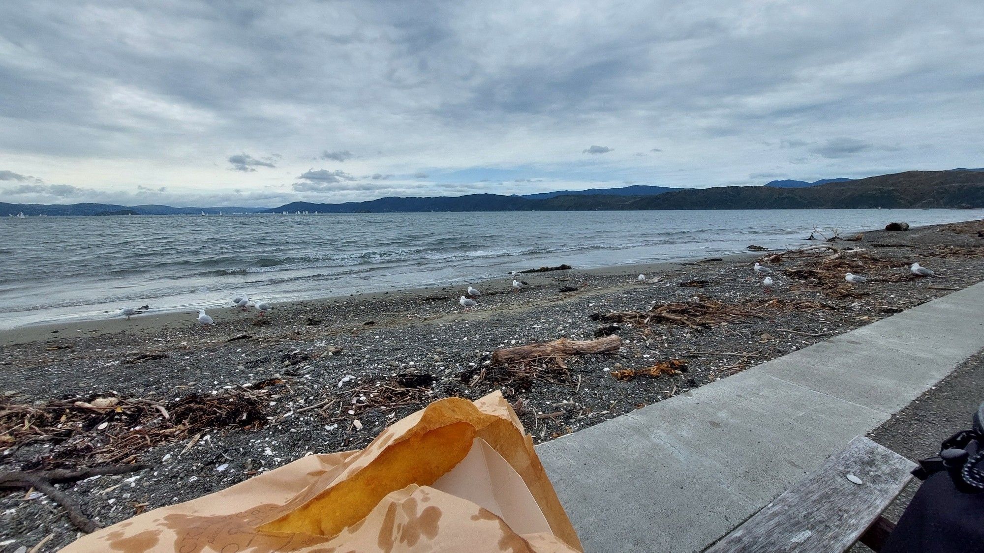 Brown paper bag of fish and chips and a stoney beach with a number of seagulls looking very suspect