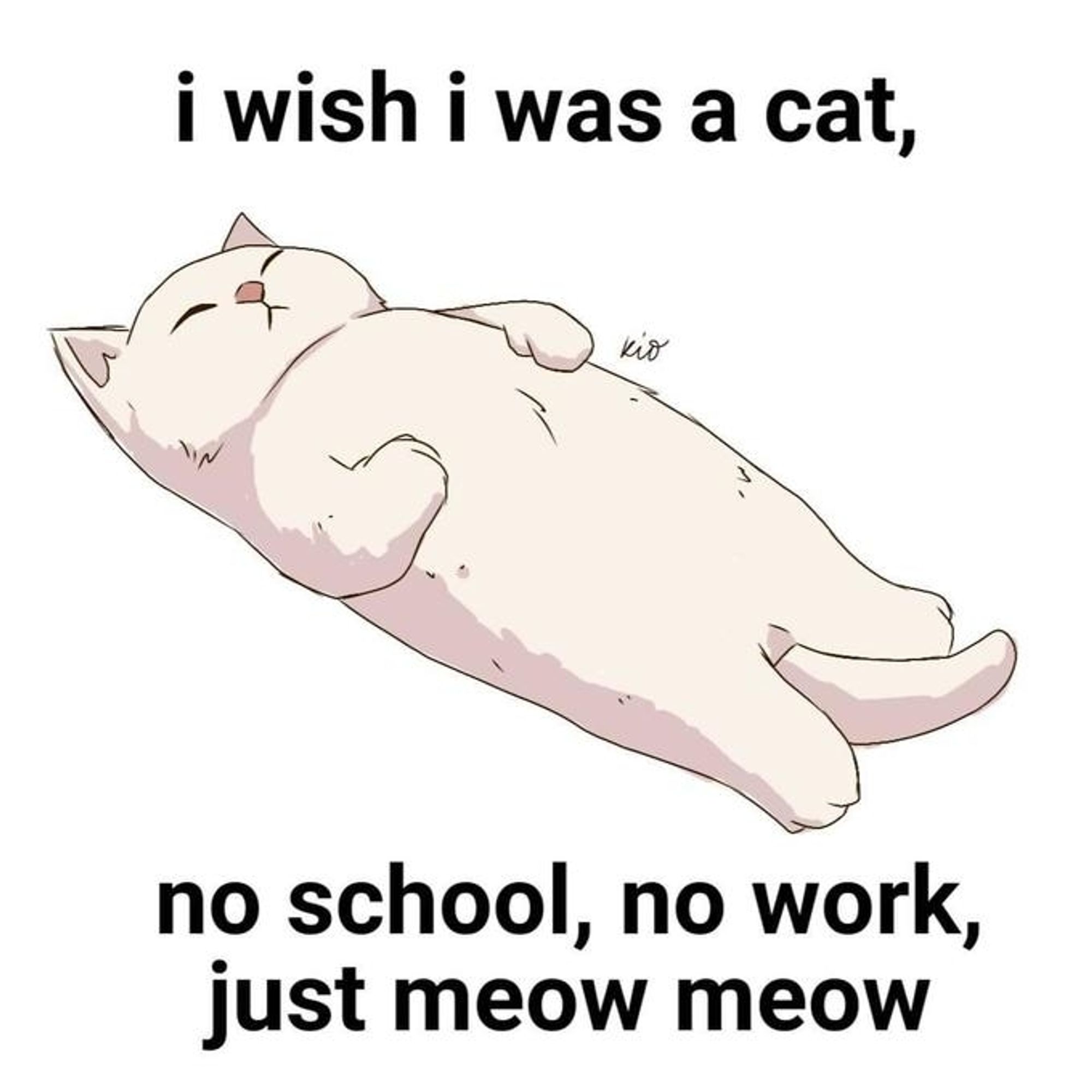 "I wish I was a cat, no school, no work, just meow meow"