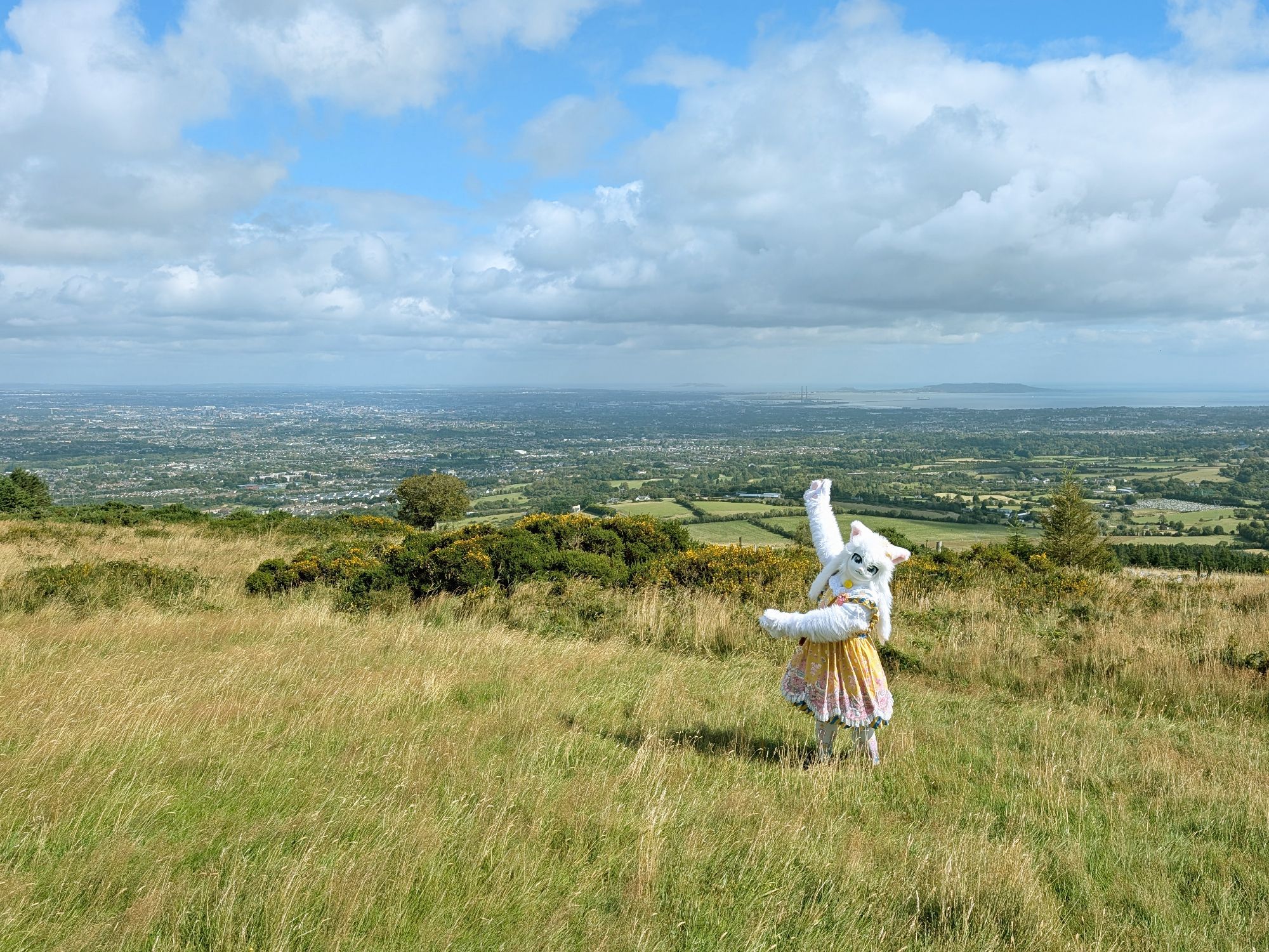 A white cat fursuiter with a yellow dress is standing is a grass field putting their arms up as if presenting the background. The background is a panoramic view of Dublin.