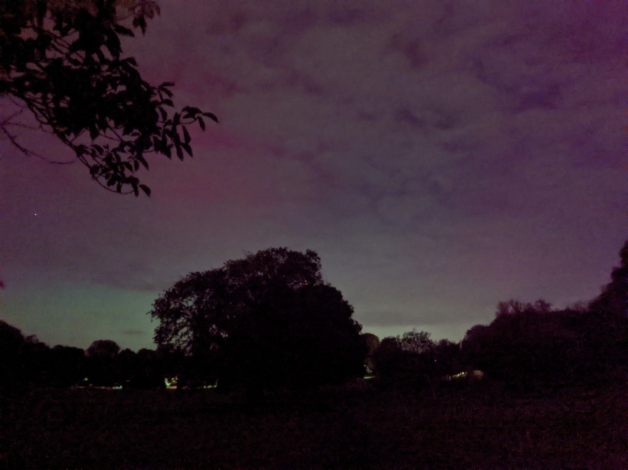 A pinkish and greenish sky at night, with clouds and tree silhouettes